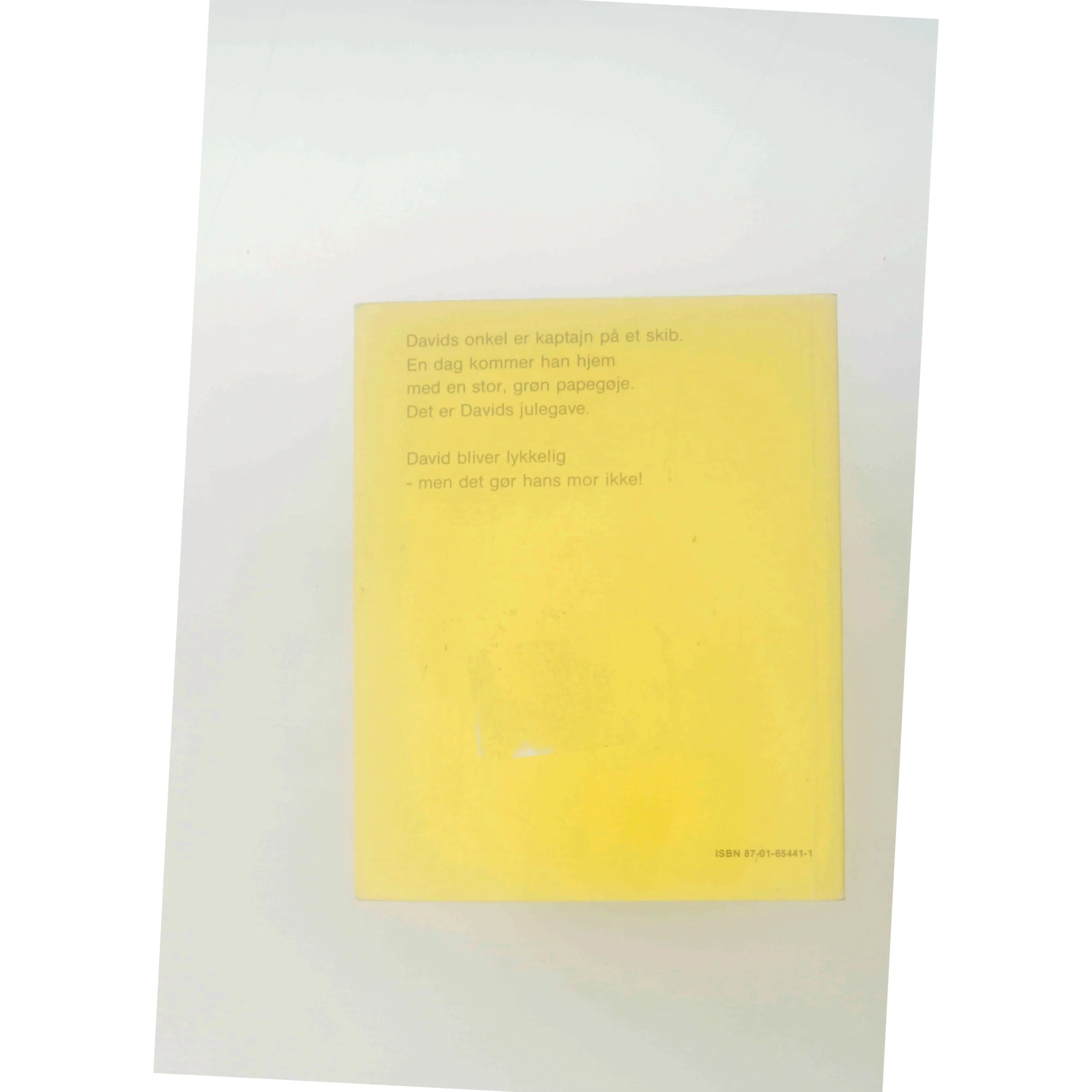 Jakob - en grøn papegøje af James Webster (Bog)