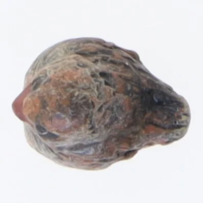  Fugl (str. 2x1,5 cm)