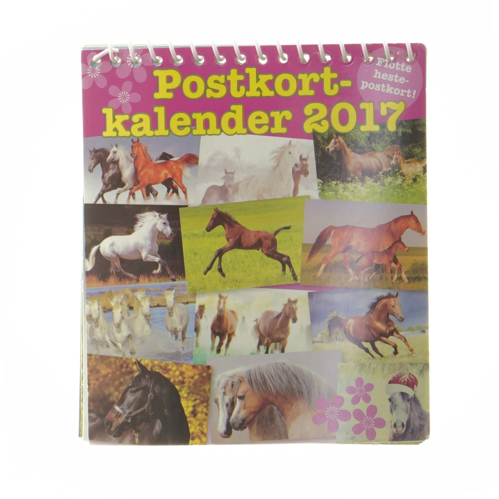Postkortkalender 2017 med heste (str. 16x14 cm)