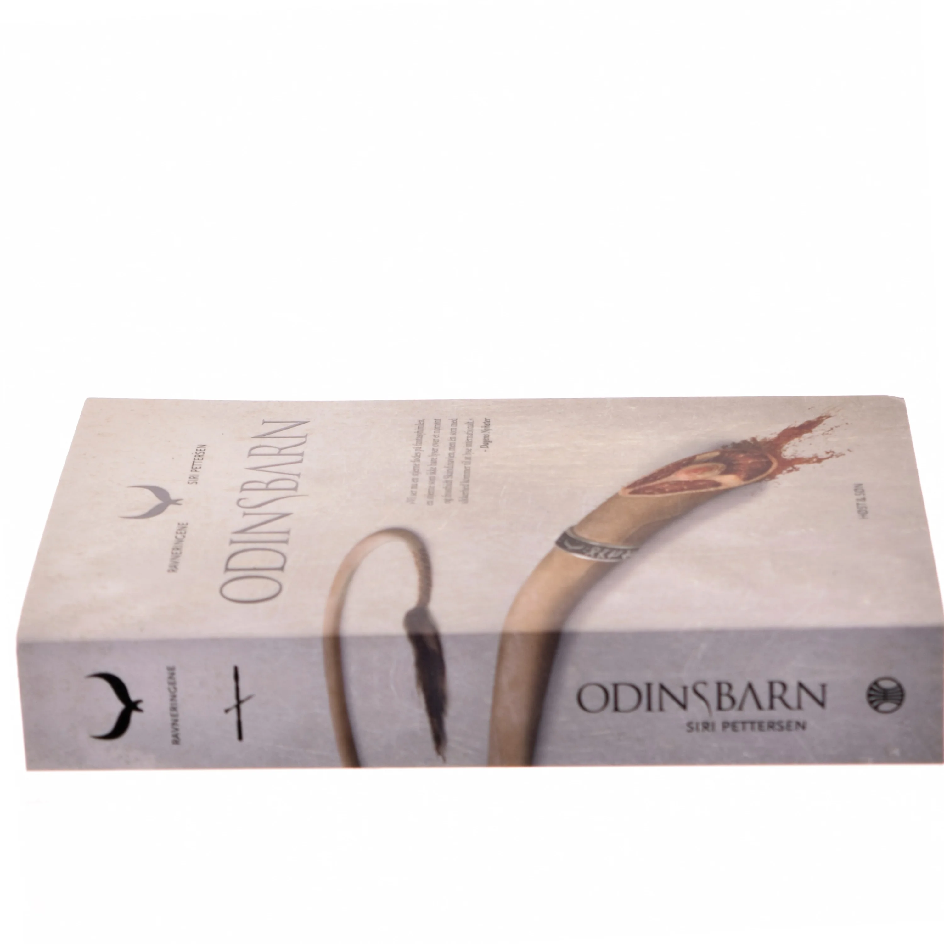 Odinsbarn af Siri Pettersen (Bog)