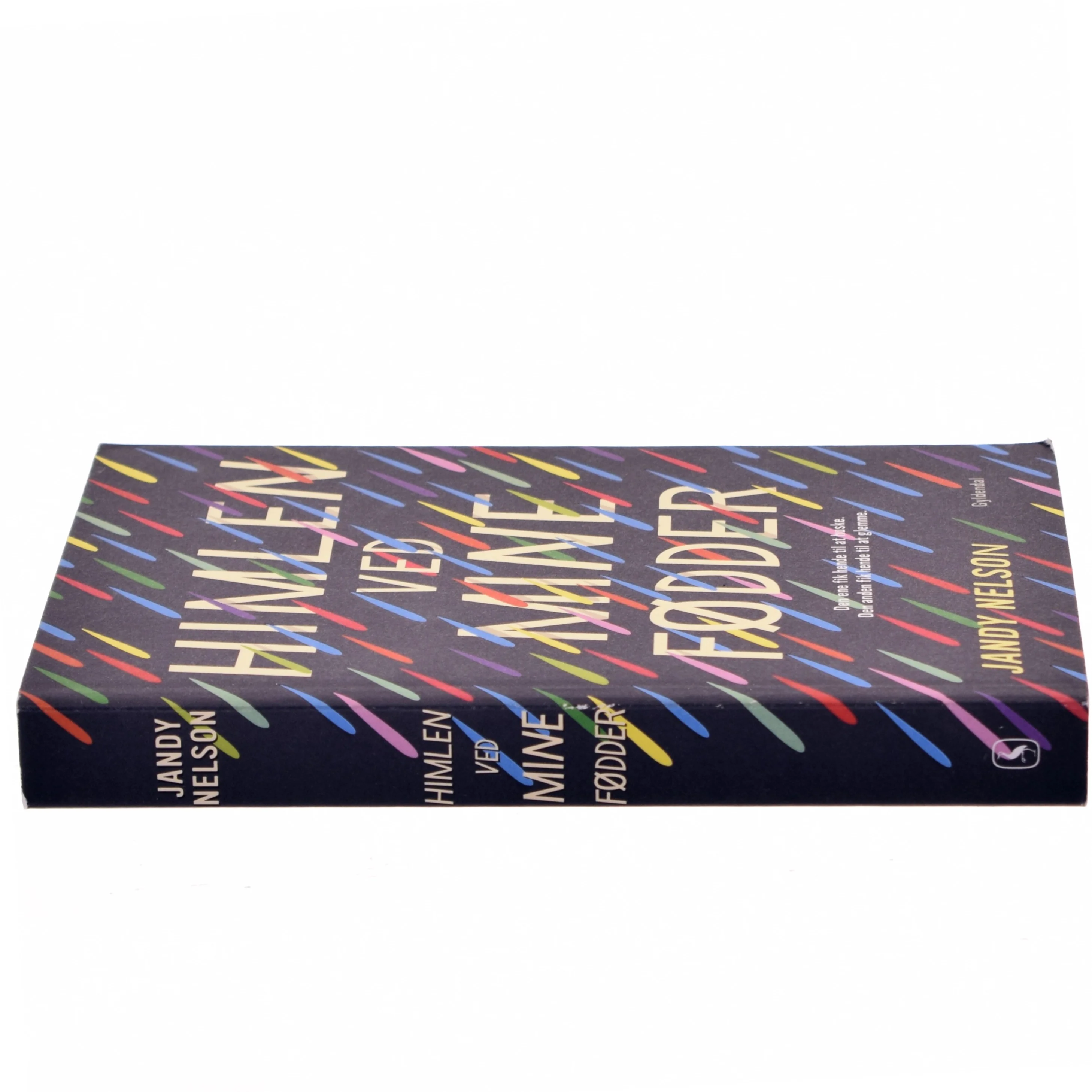 Himlen ved mine fødder af Jandy Nelson (Bog)