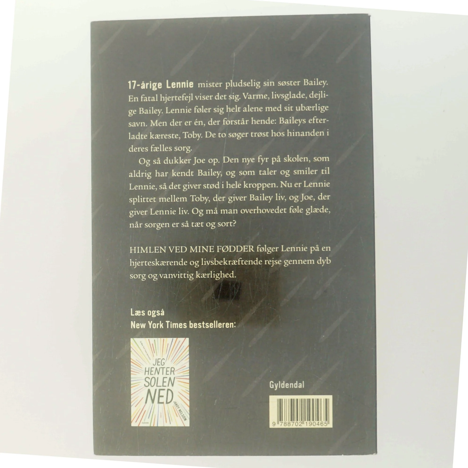 Himlen ved mine fødder af Jandy Nelson (Bog)