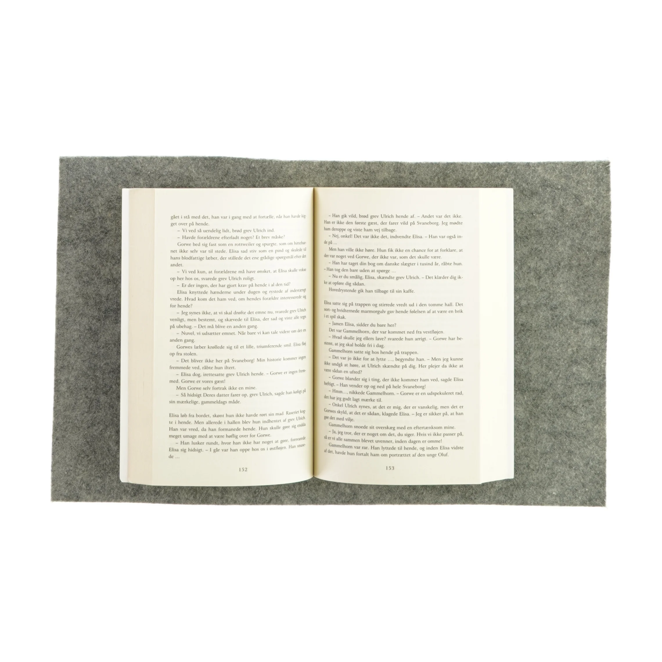 Den store ravns forbandelse af Helle Ryding (Bog)