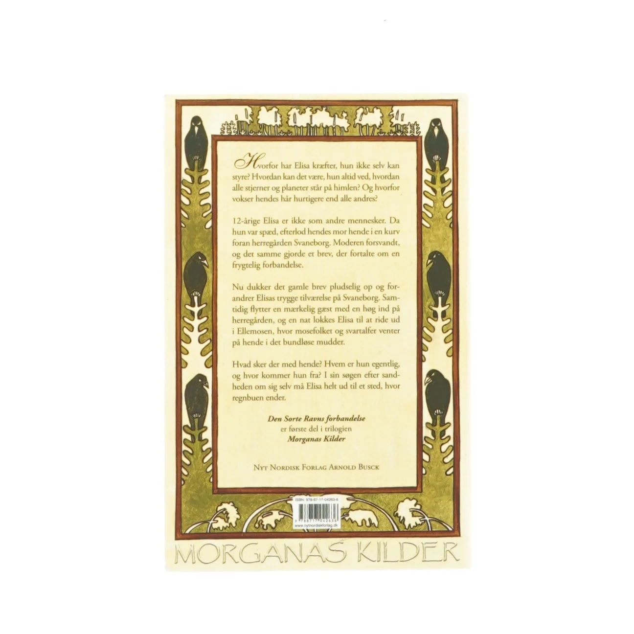 Den store ravns forbandelse af Helle Ryding (Bog)