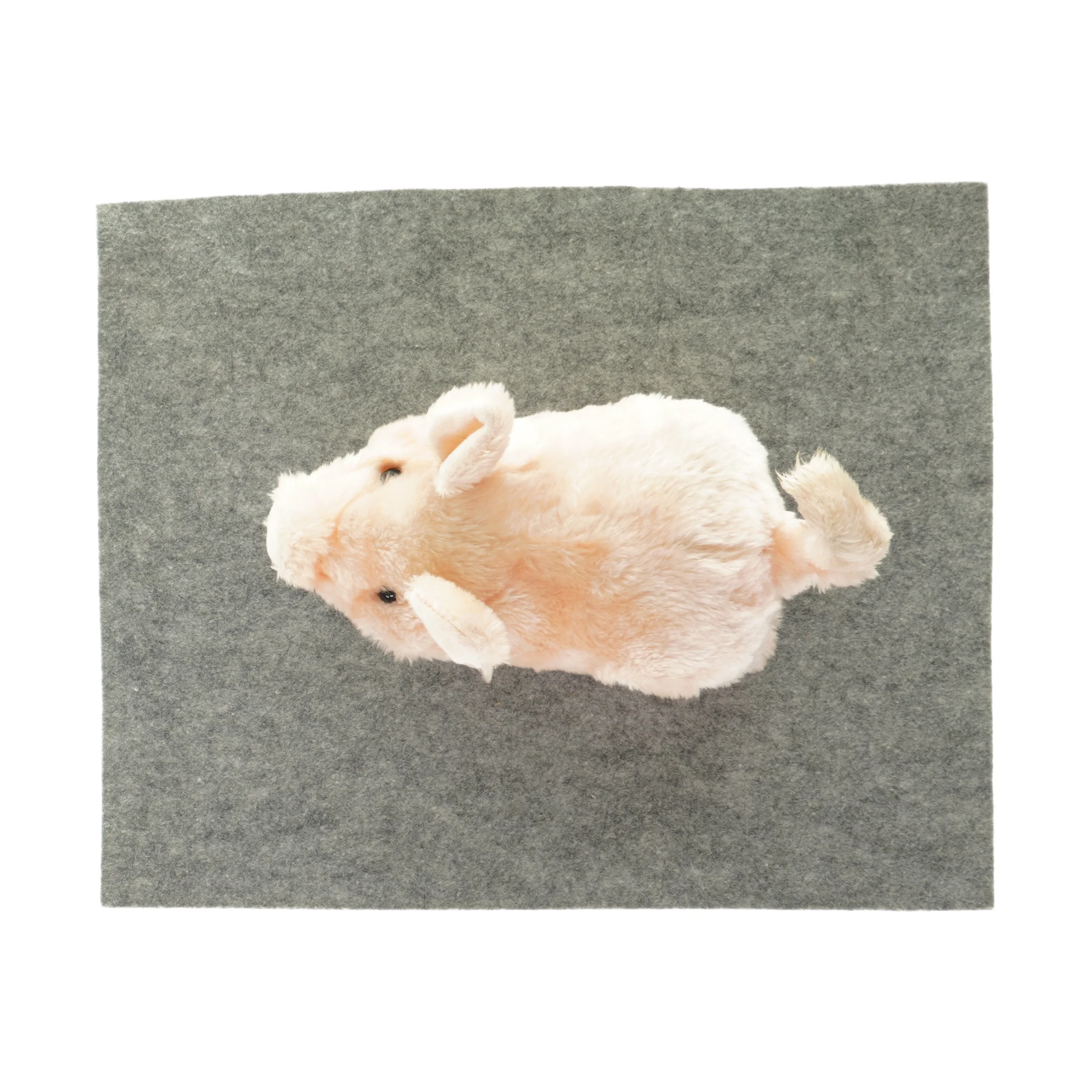 Gris der kan bevæge sig (str. LBH 22x12x13 cm)