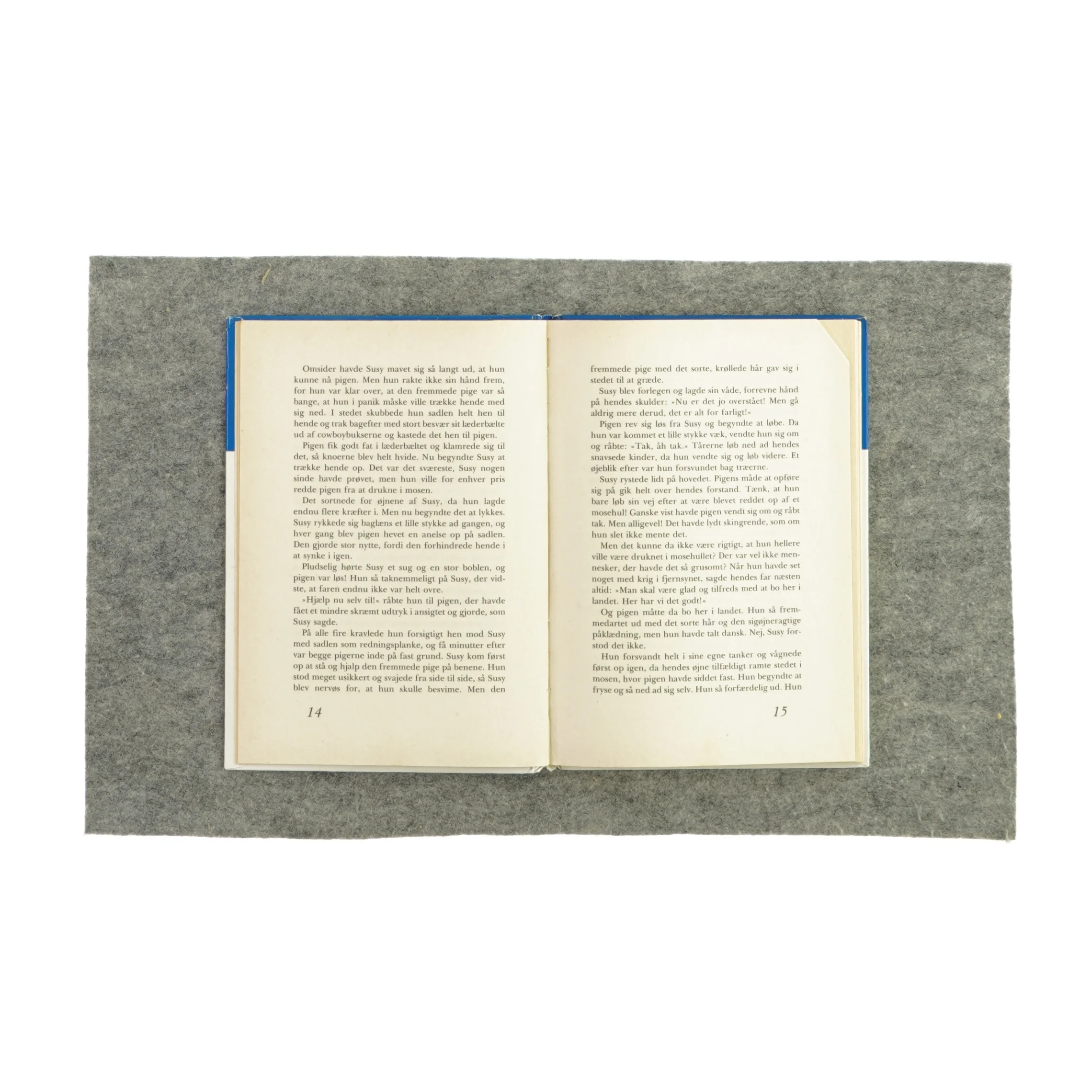 Lusy og sigøjnerpigen af Geetha Stevns fra Bog