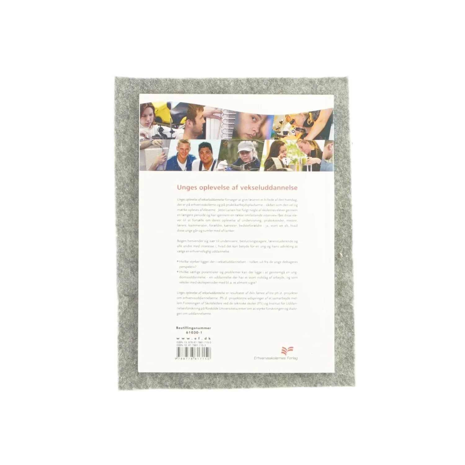 Unges oplevelse af vekseluddannelse af Jette Larsen (Bog)