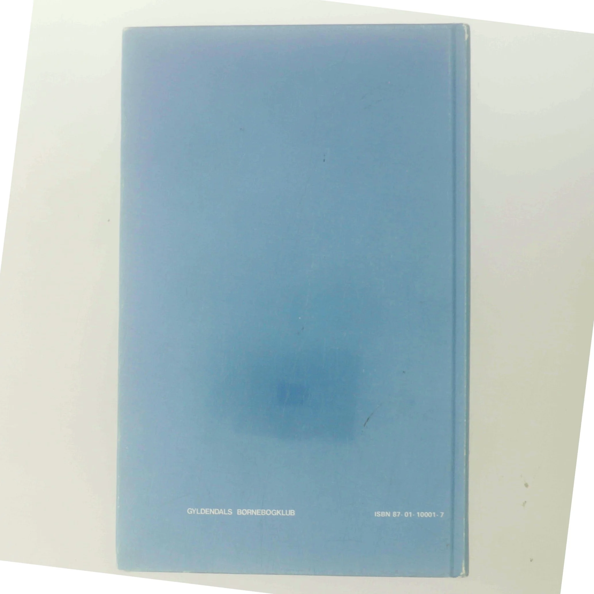 Esben af Knud Erik Pedersen (Bog)