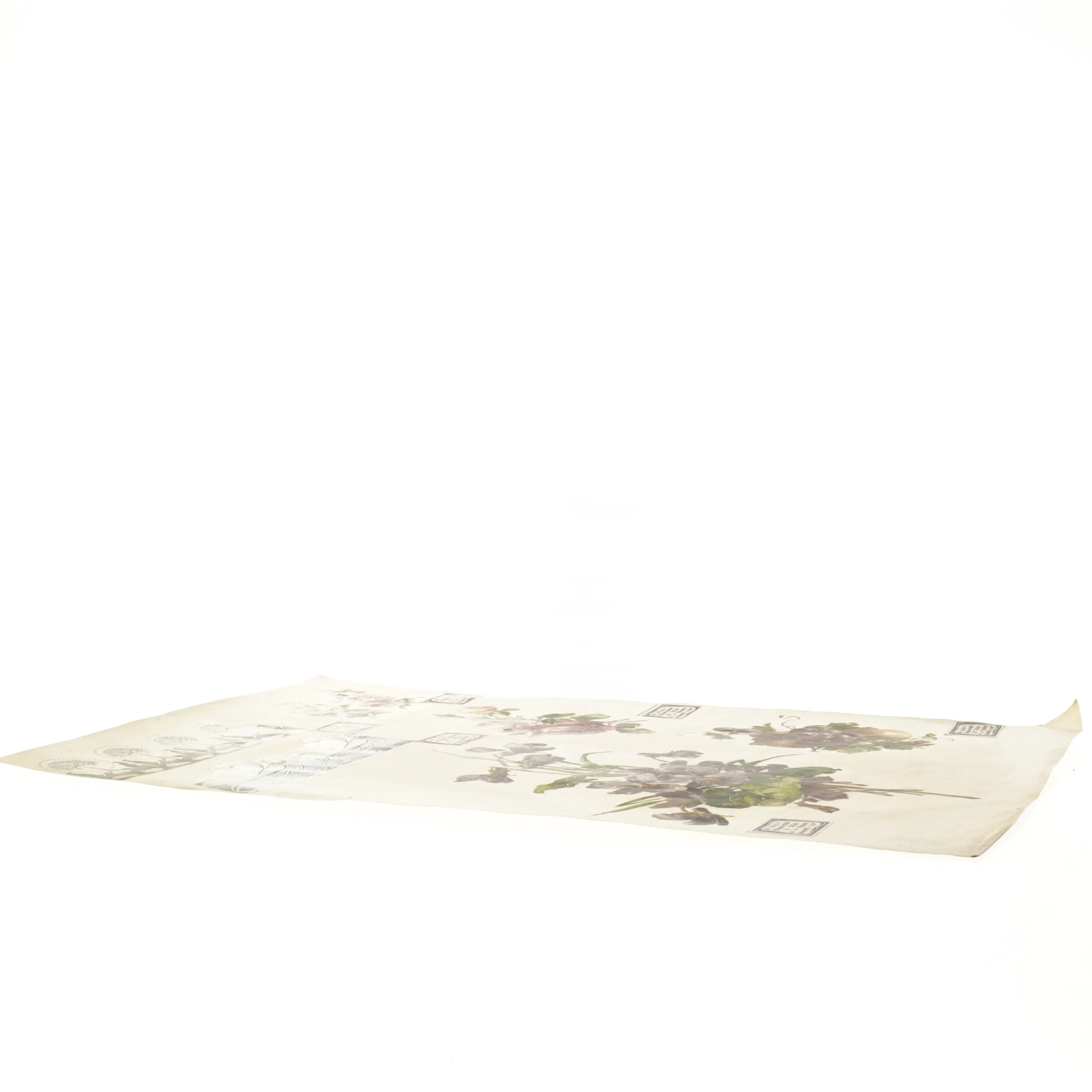 Botanisk plakat (str. 41 x 28,5 cm)