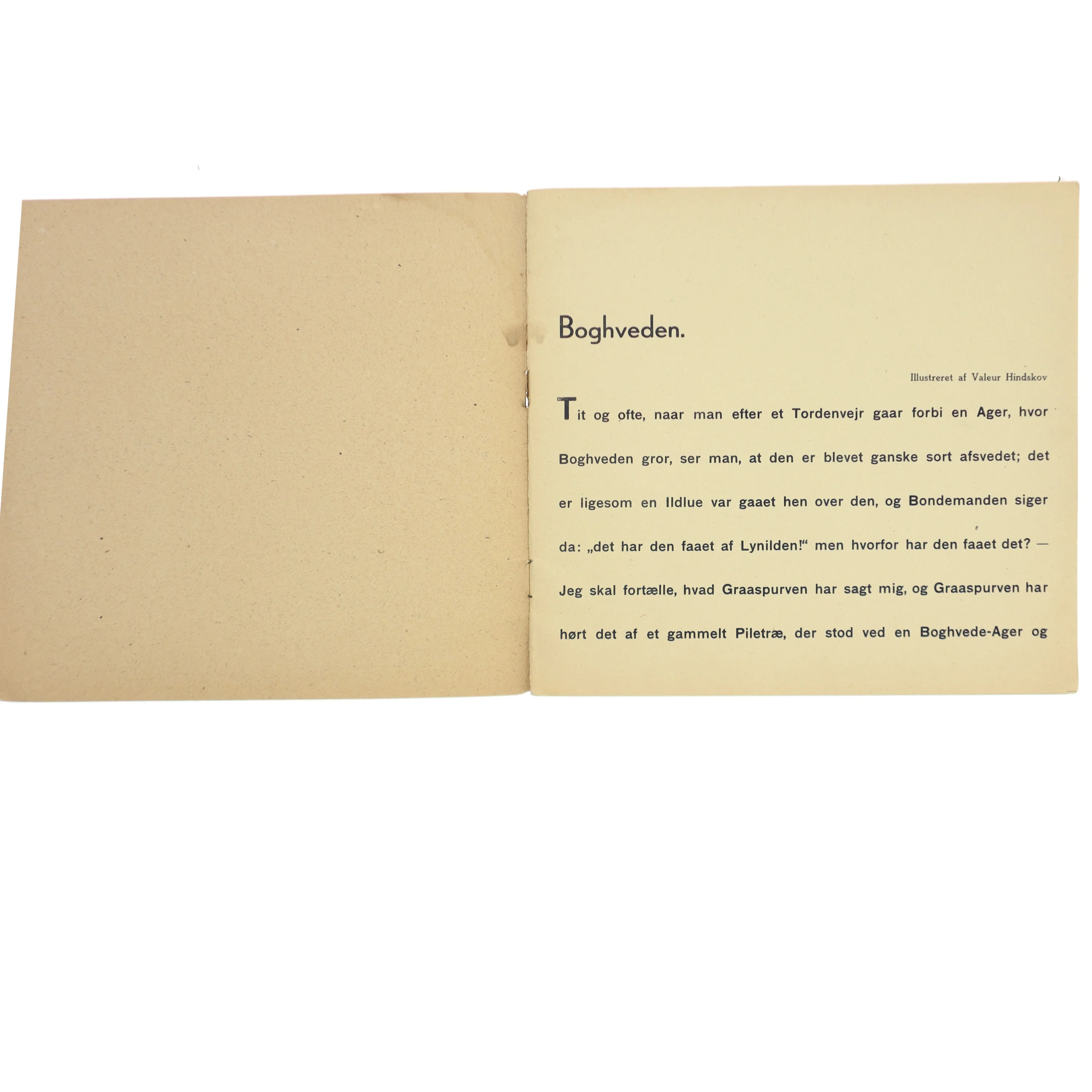 H.C. Andersen Boghveden Bog