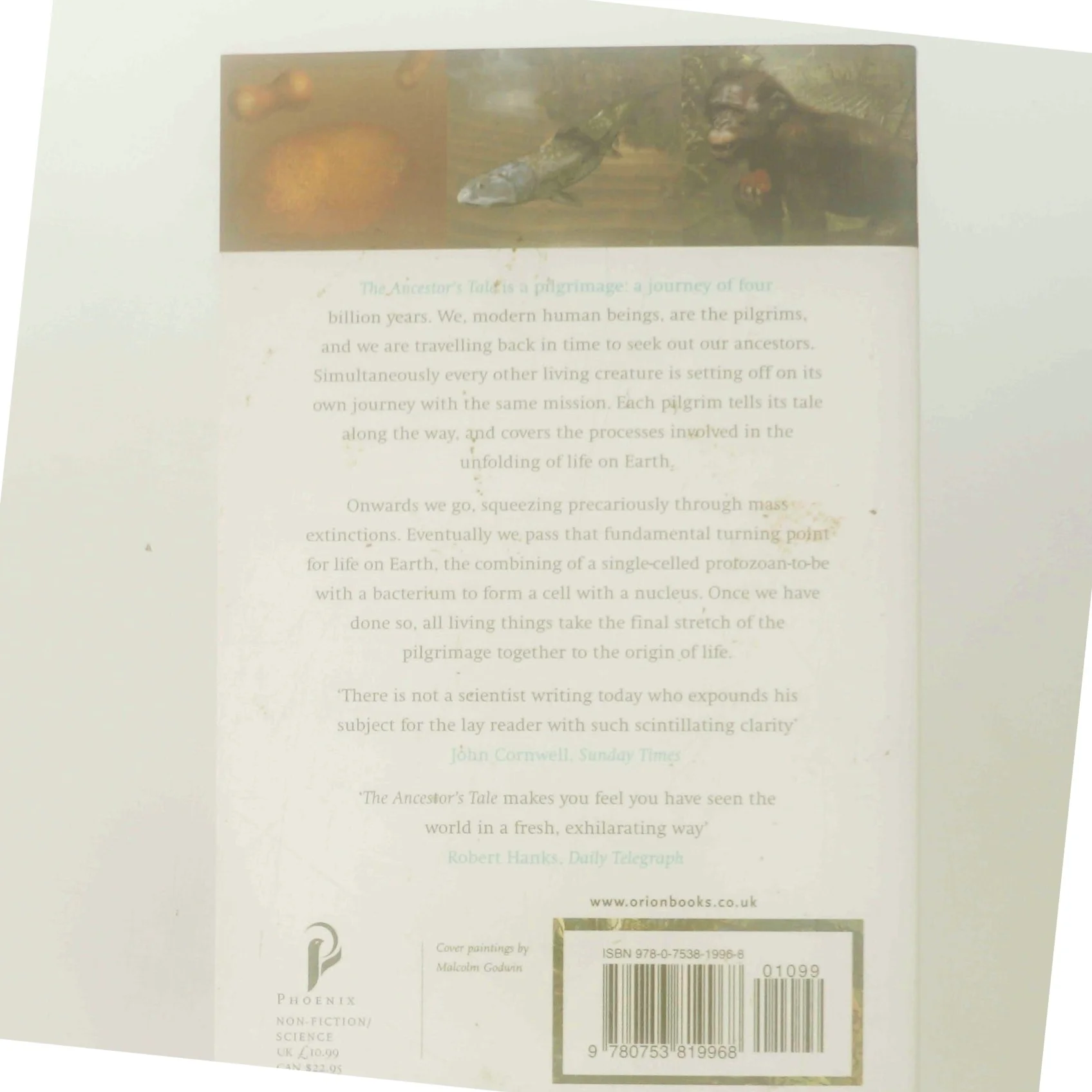 The Ancestor's Tale : A Pilgrimage To The Dawn Of Life af Richard Dawkins (Bog)