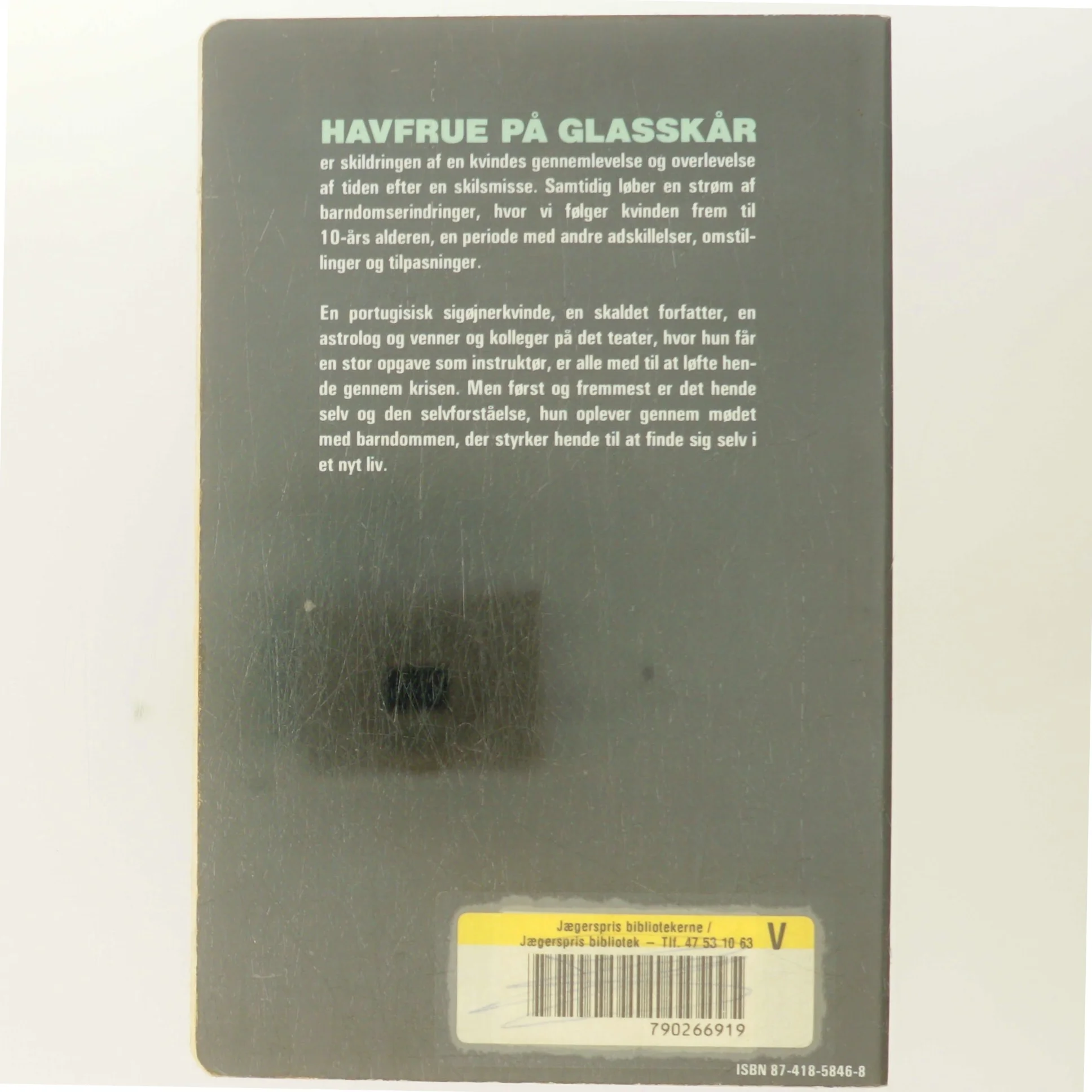 Havfrue på glasskår af Aase Schmidt (Bog)