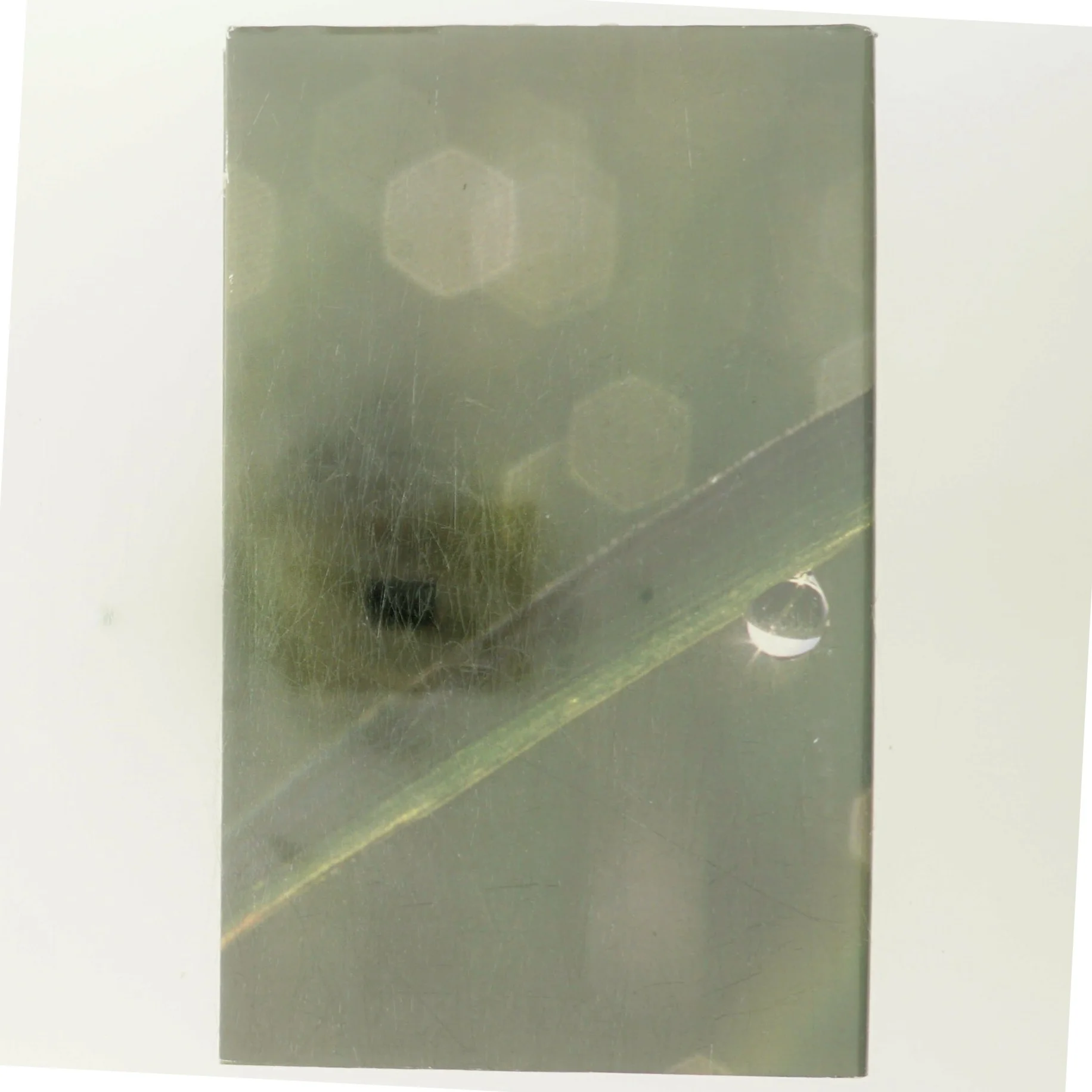 Sidst på sommeren af Rosamunde Pilcher (Bog)