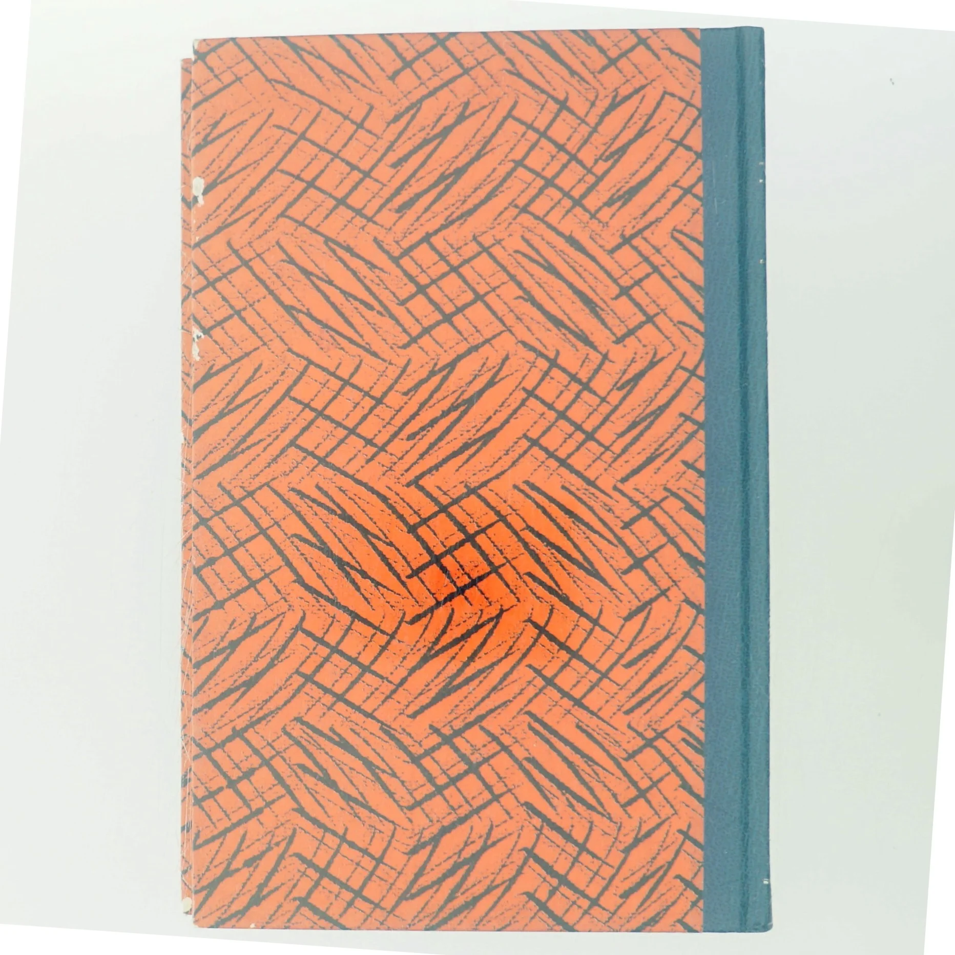 Terror af Torben Nielsen (Bog)