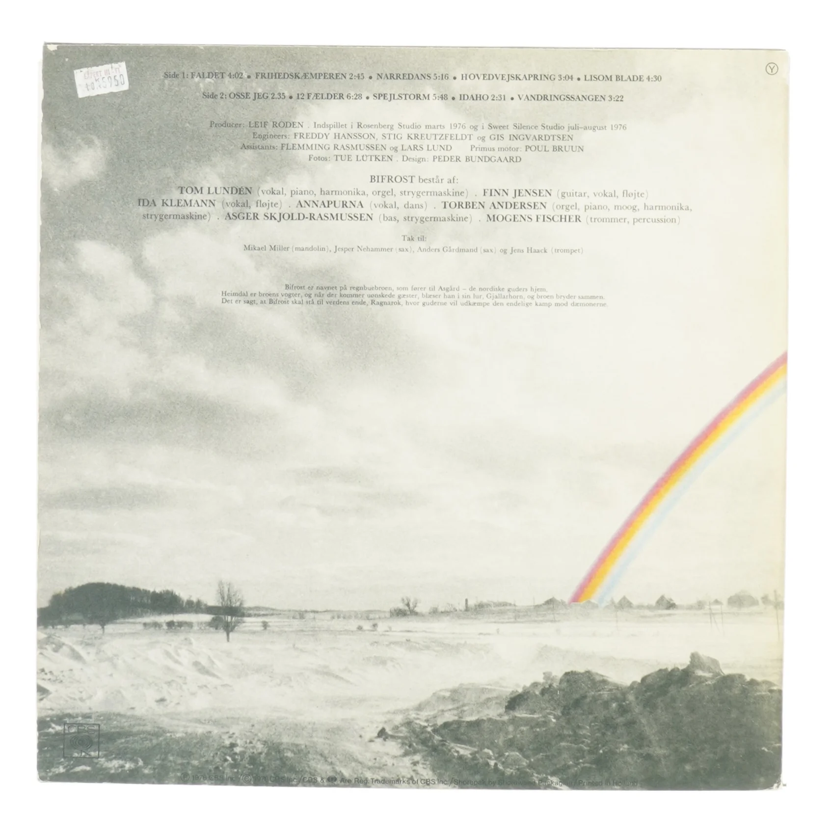 Bifrost fra Cbs (str. 30 cm)