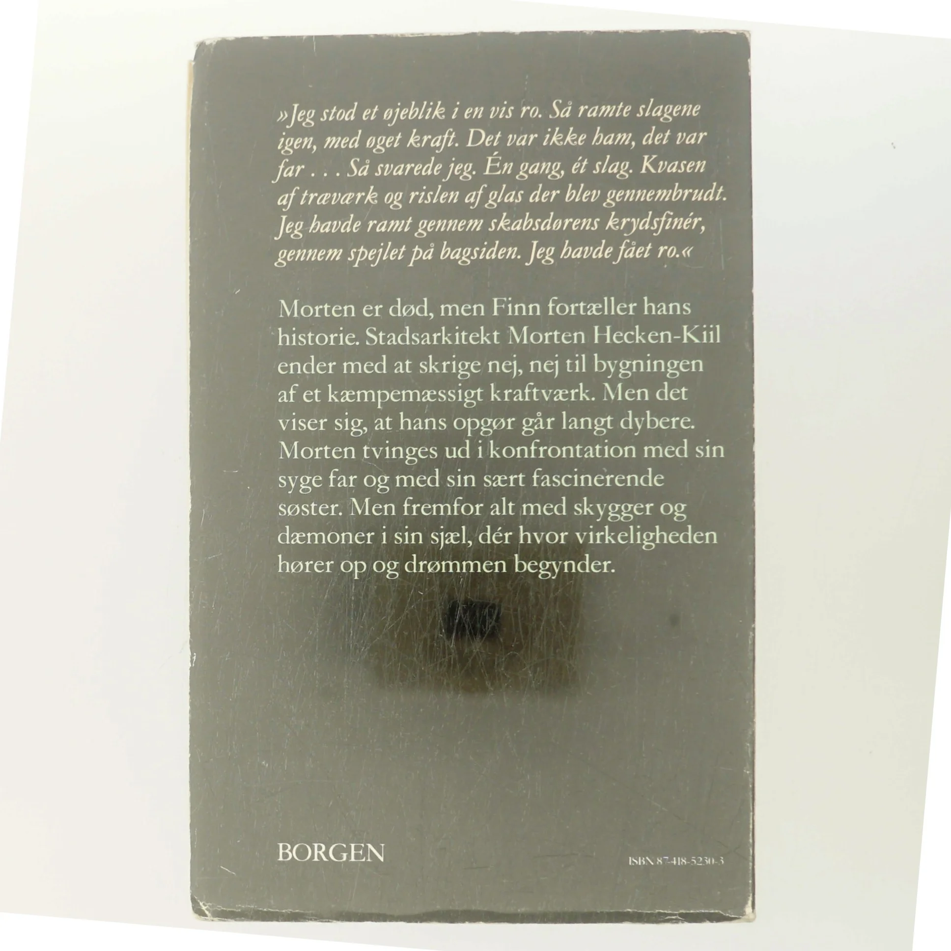 Valeria : roman af Maria Helleberg (Bog)