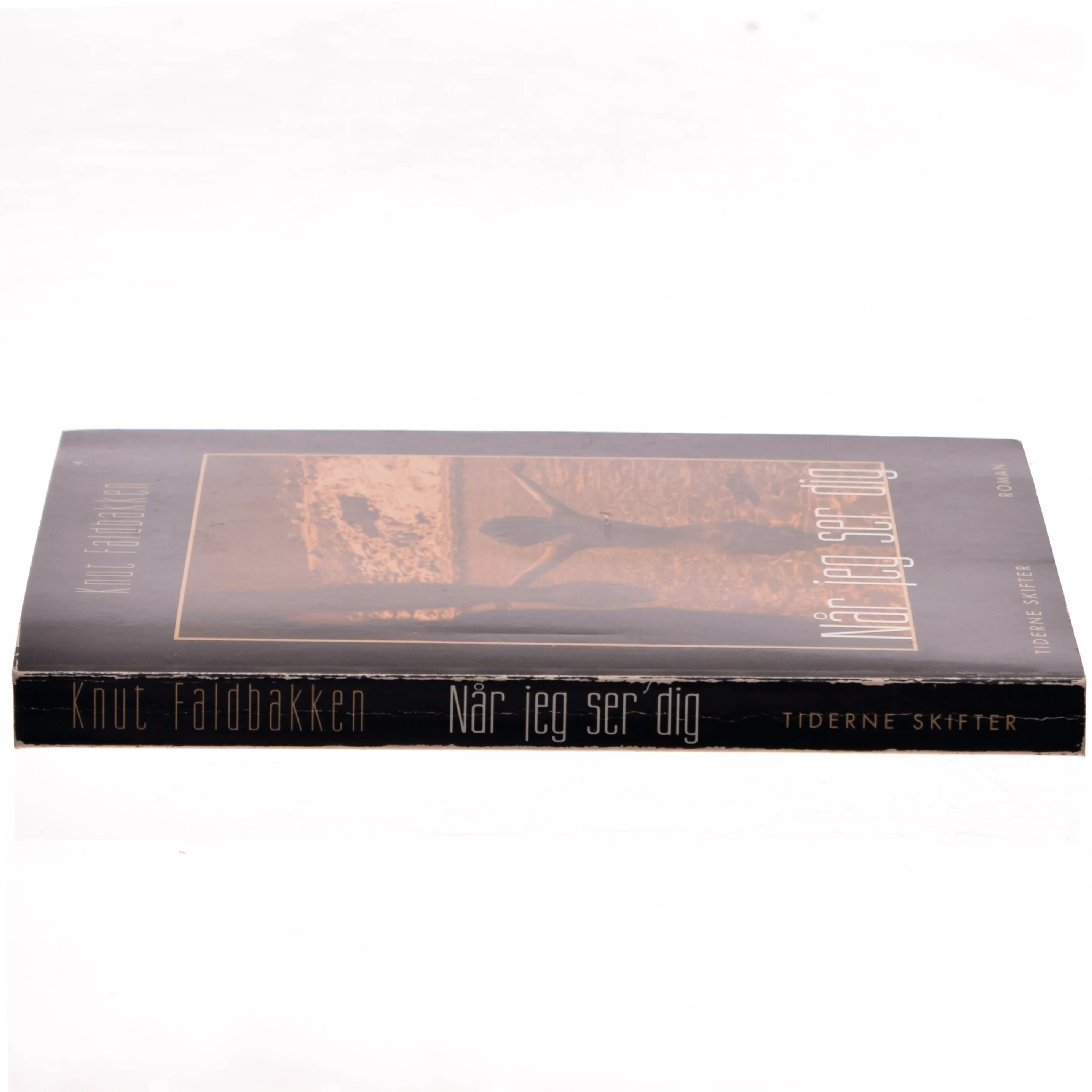 Når jeg ser dig af Knut Faldbakken (Bog)