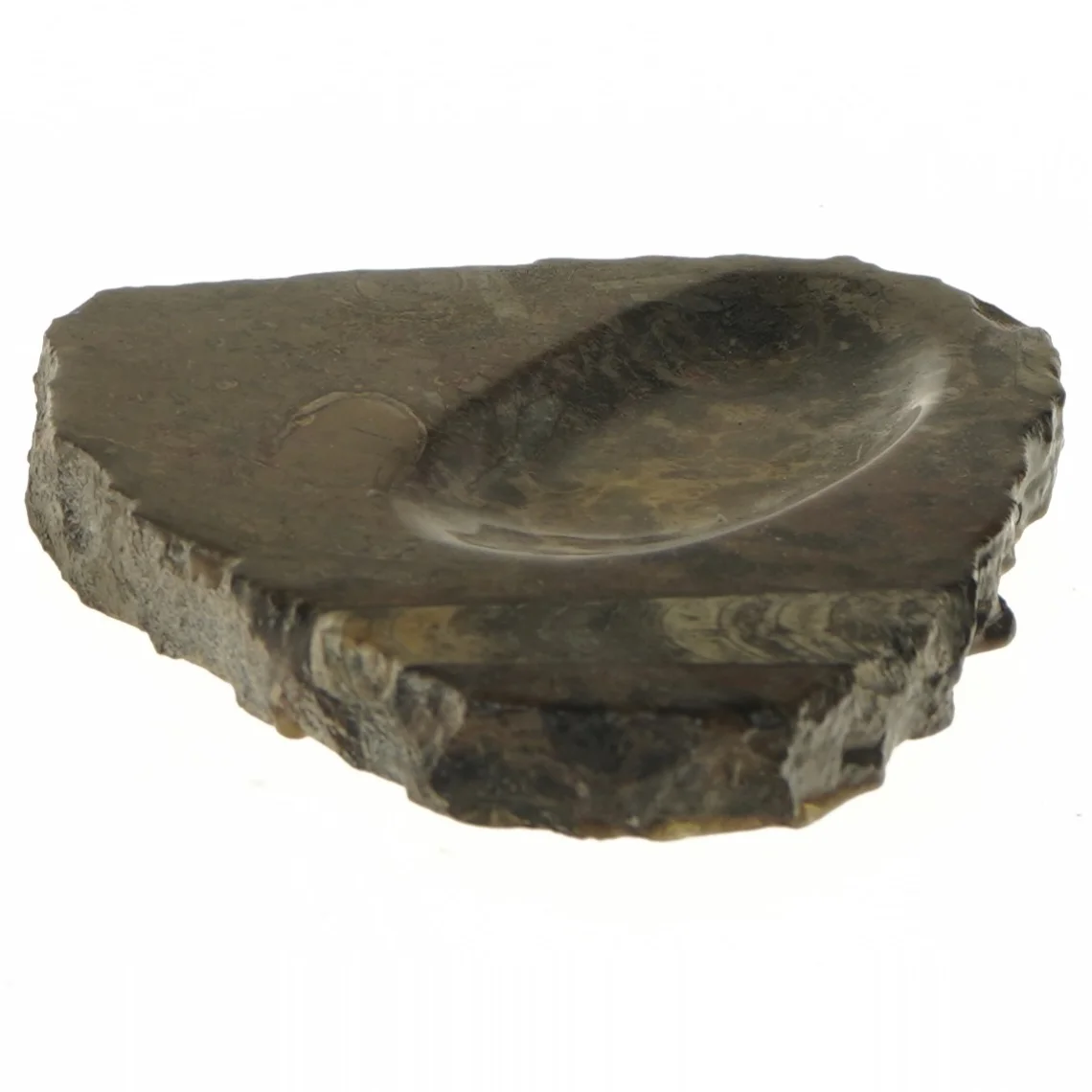 Fossil sten askebæger (str. 22x18 cm)