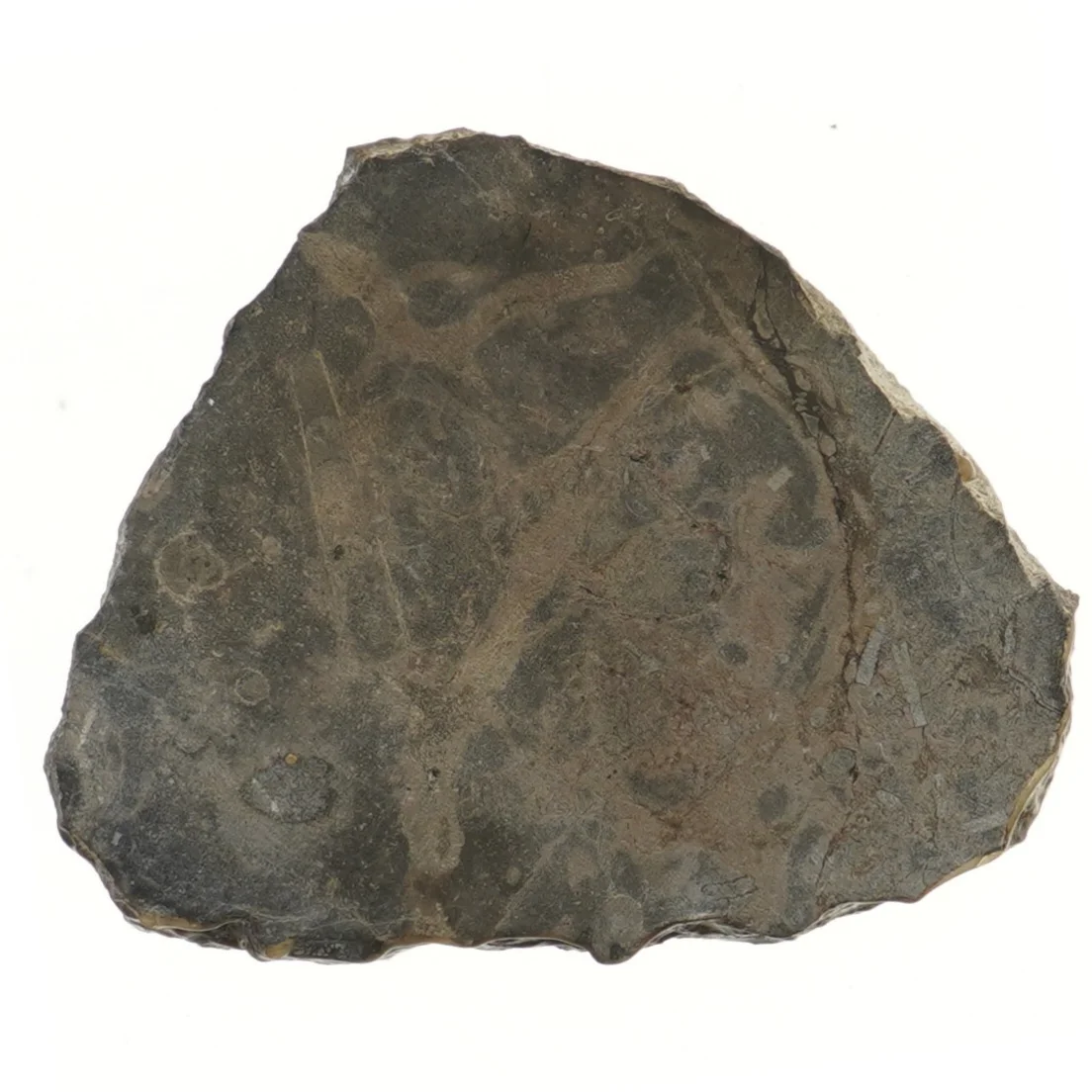 Fossil sten askebæger (str. 22x18 cm)