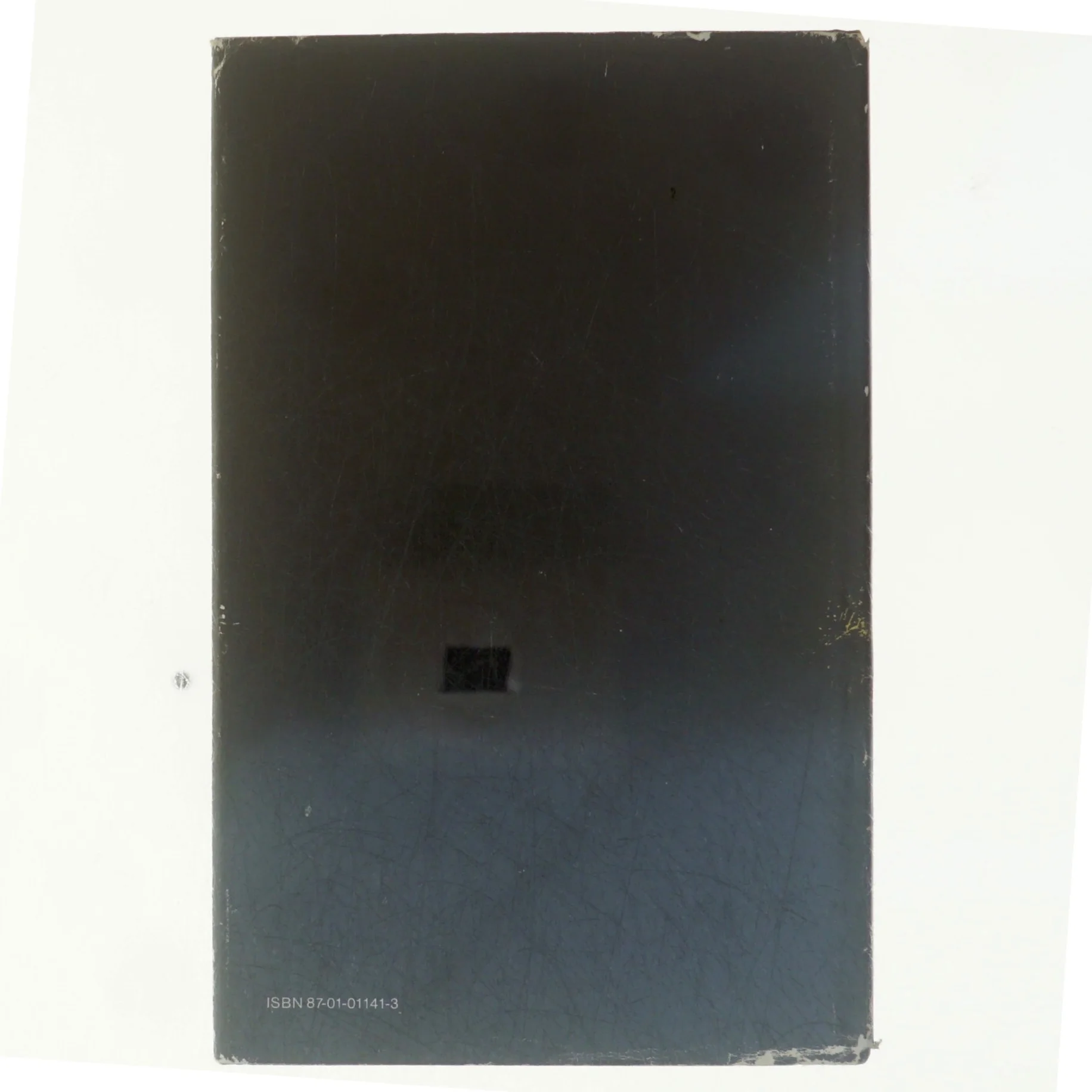 En kort episode i landets historie af Anne Ladegaard