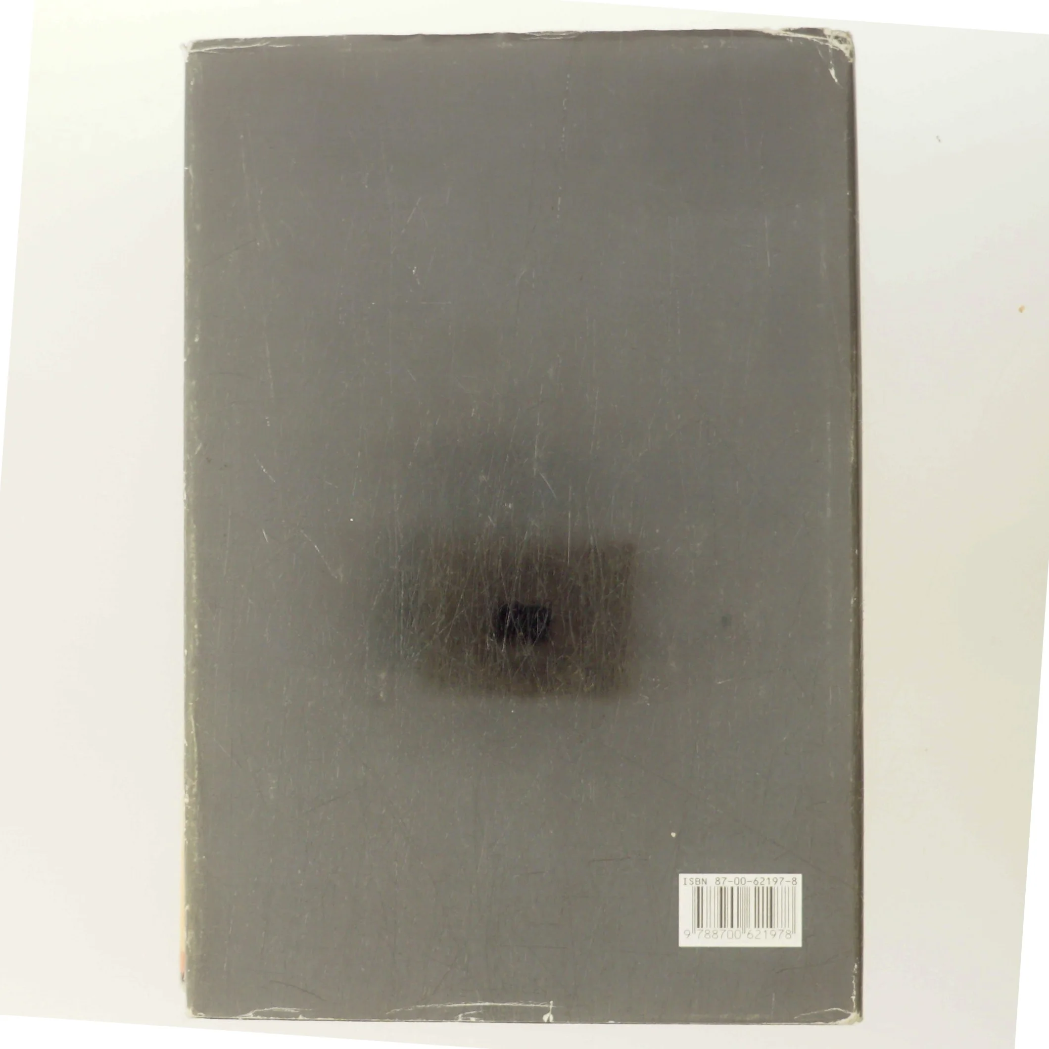 Lucca : roman af Jens Christian Grøndahl (Bog)