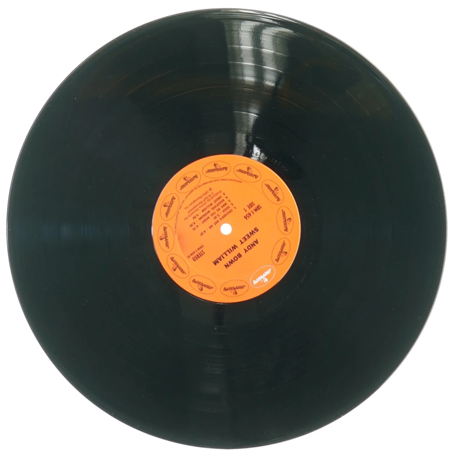 Andy Bown, sweet william fra Mercury (str. 30 cm)