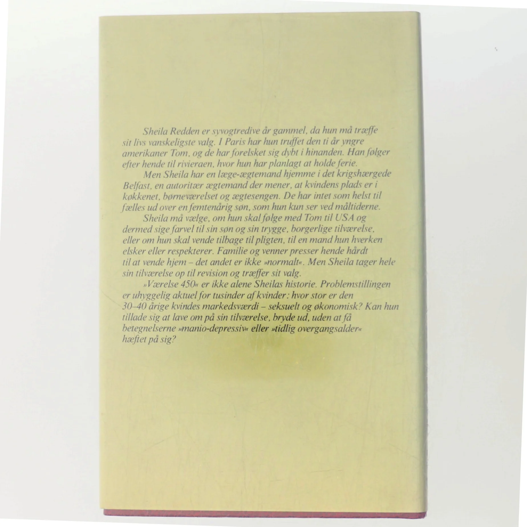 Værelse 450 af Brian Moore (Bog)