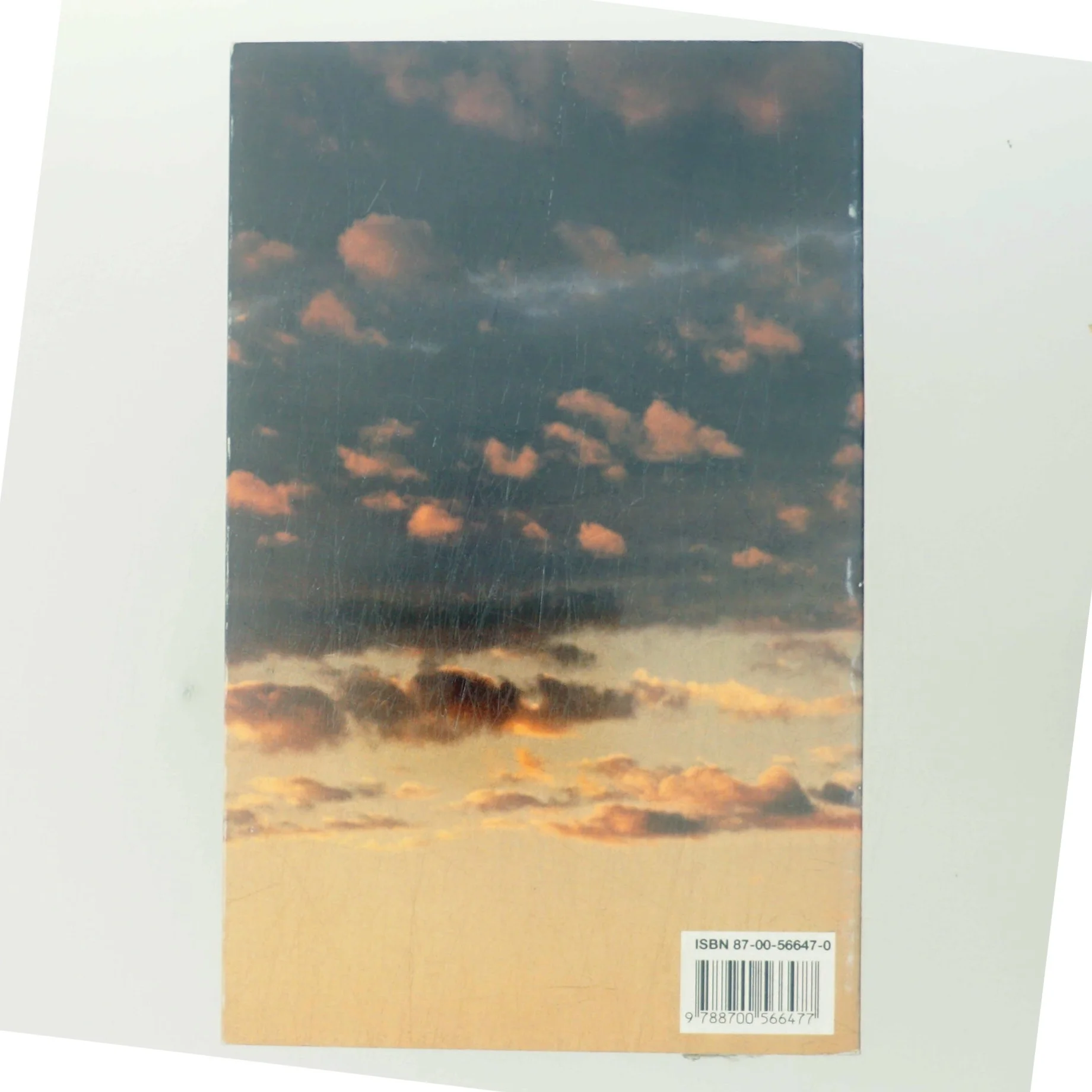 Indian summer : roman af Jens Christian Grøndahl (Bog)