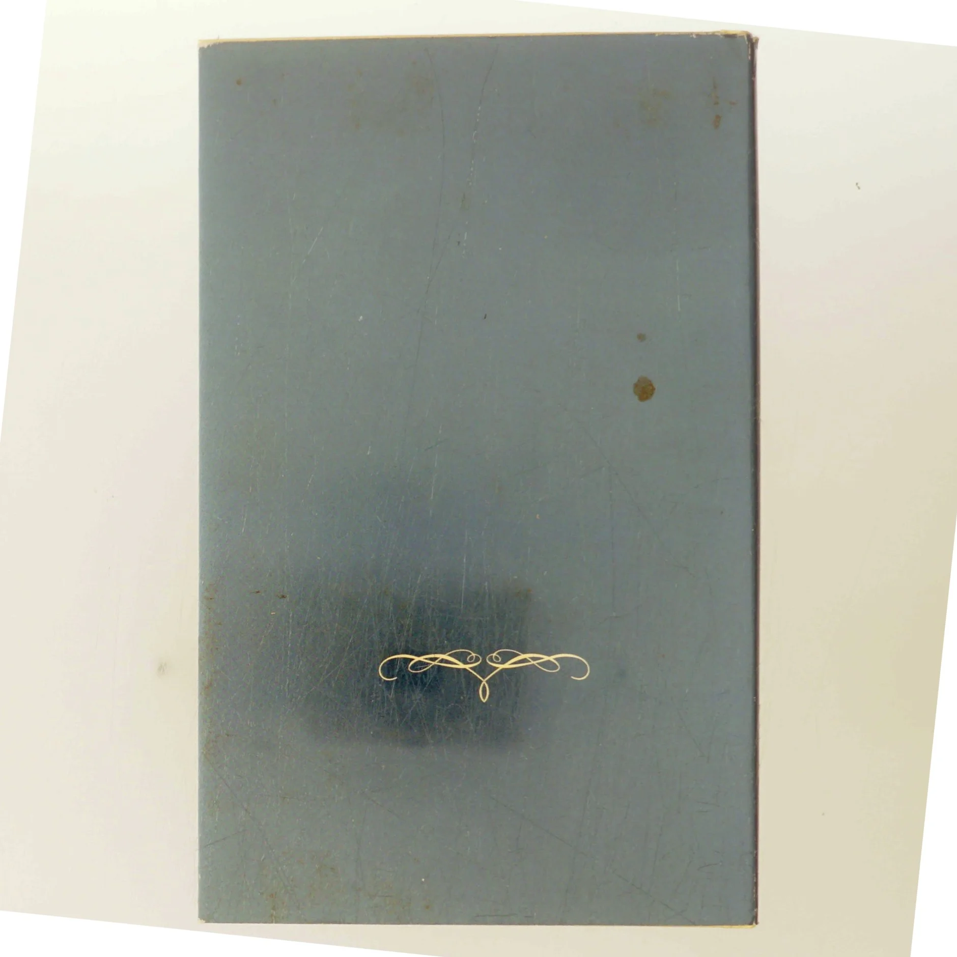 Bag damen stod en Christian af Jane Aamund (Bog)