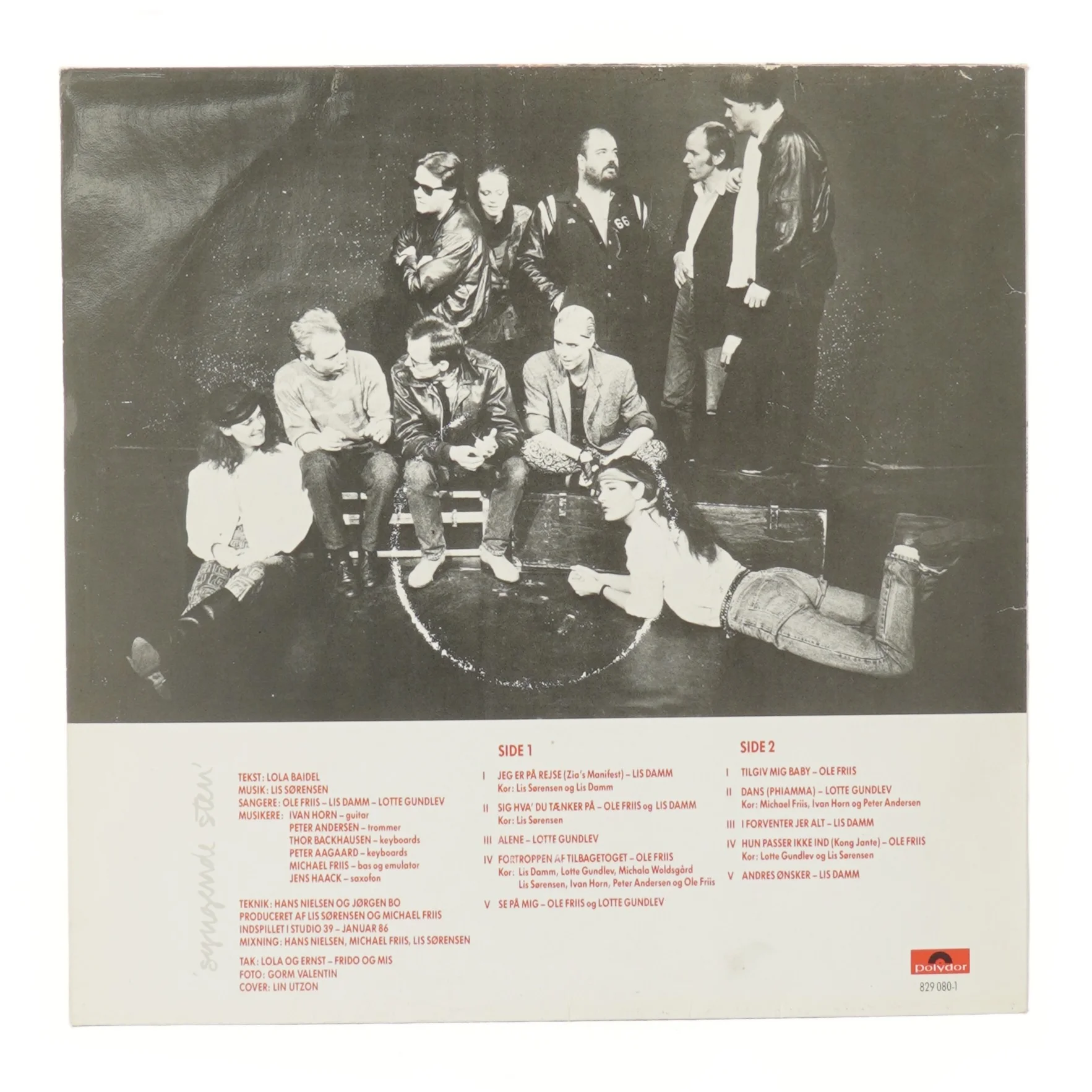 Vinylplade 'Syngende Sten'