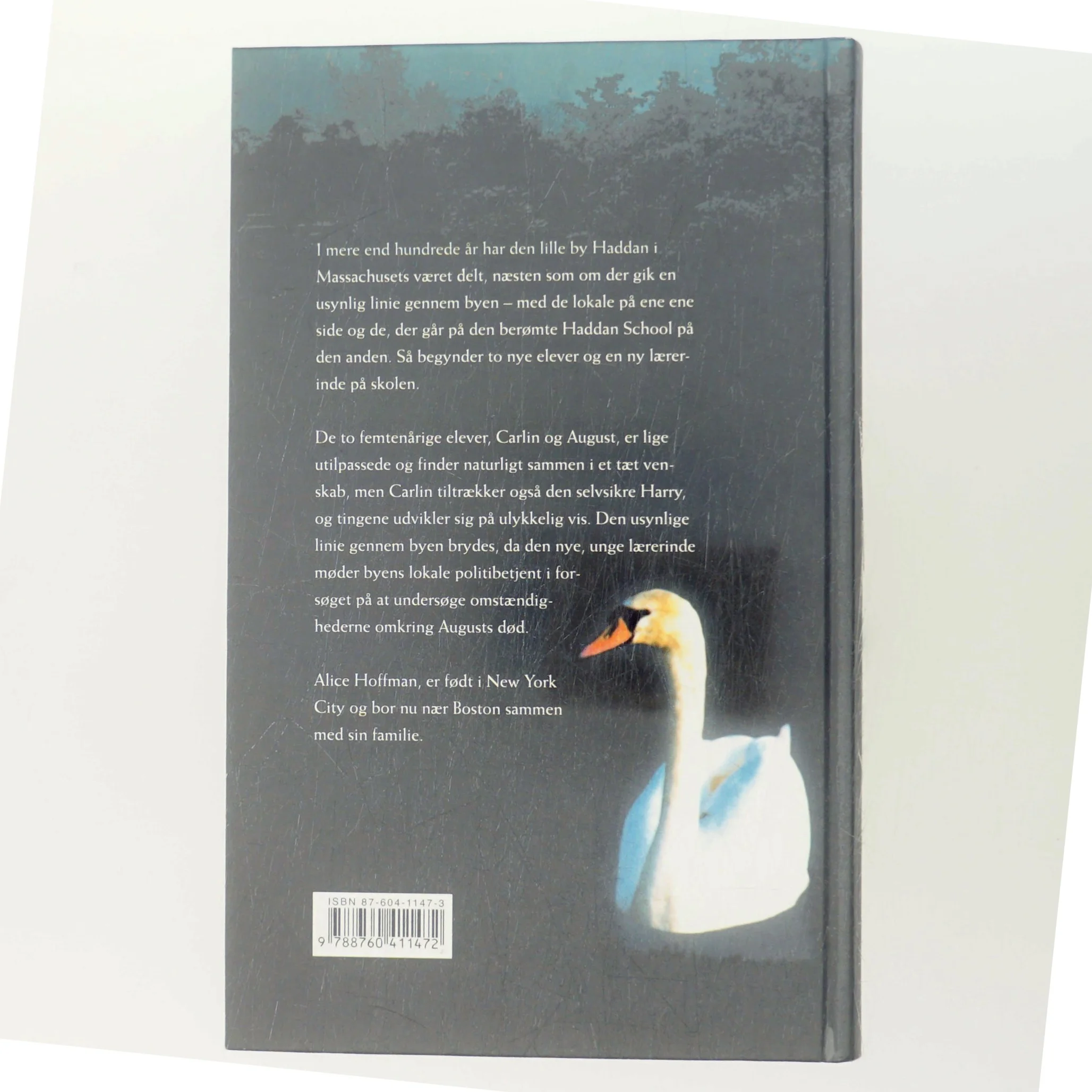 Flodkongen af Alice Hoffman (Bog)