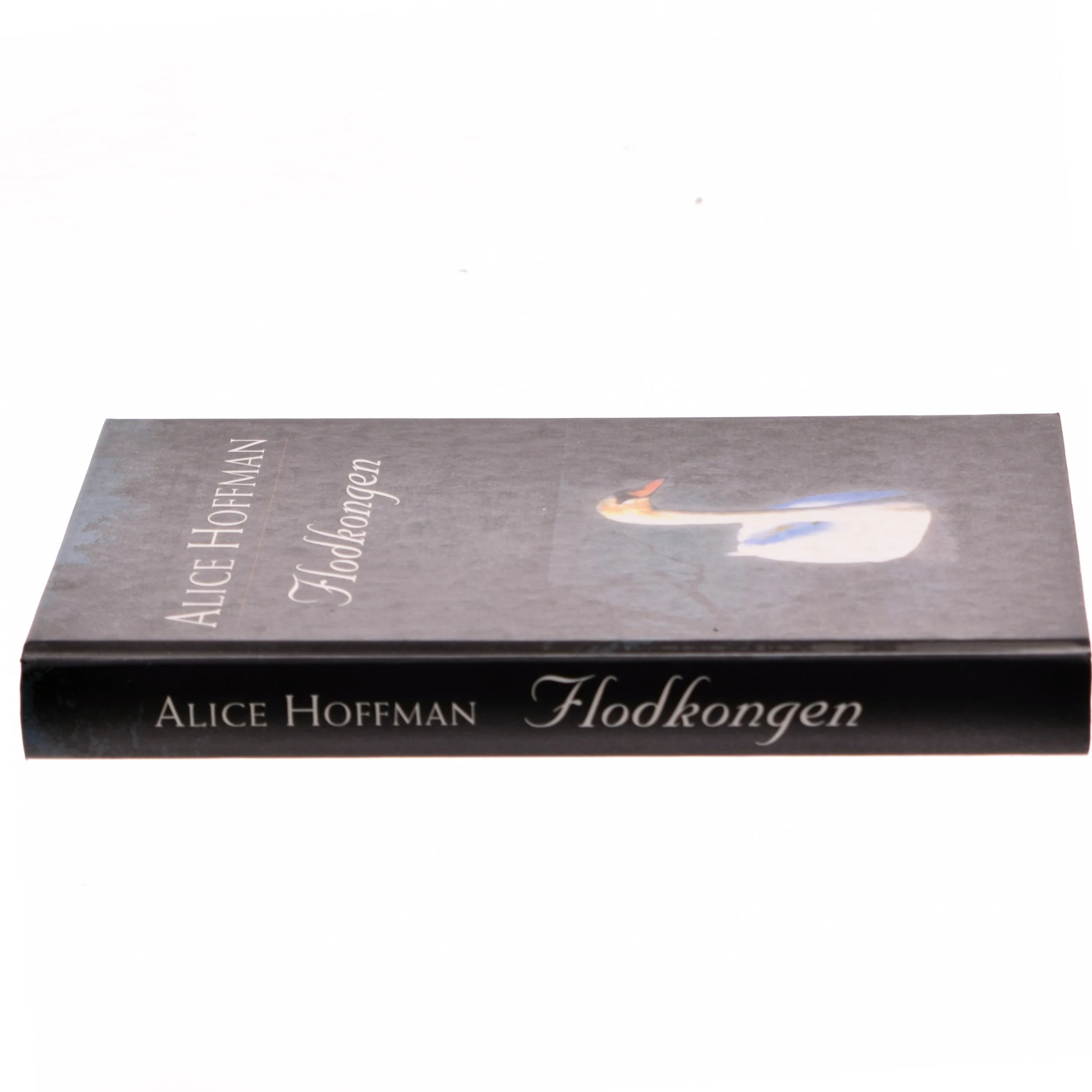 Flodkongen af Alice Hoffman (Bog)
