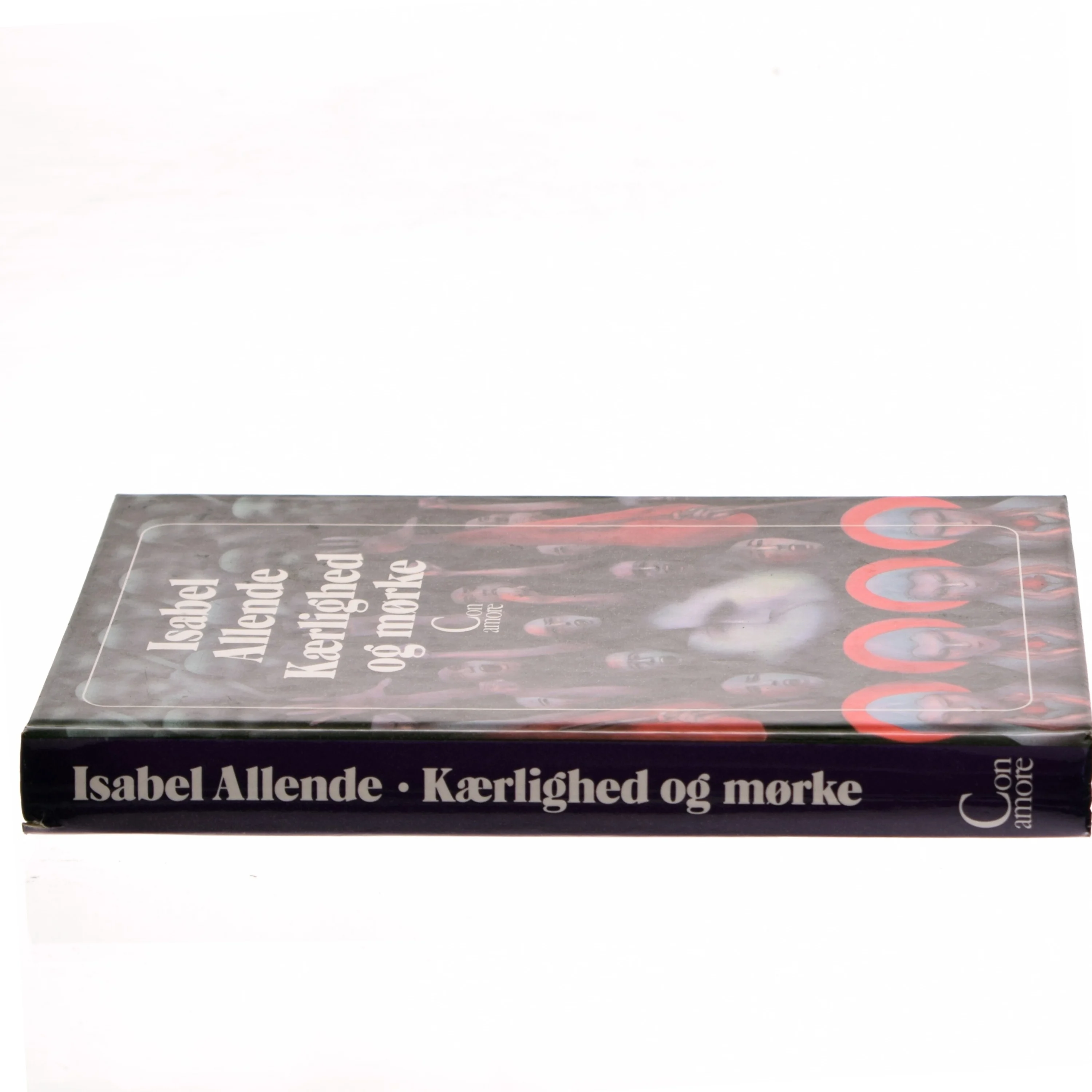 Kærlighed og mørke af Isabel Allende (Bog)