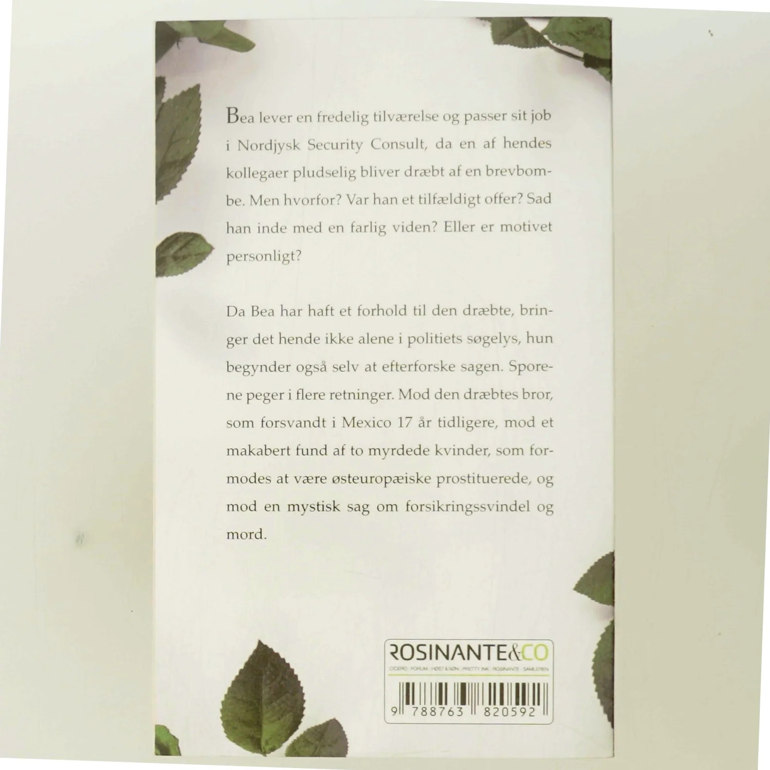 Sin Brors Vogter af Kirsten Holst (Bog)