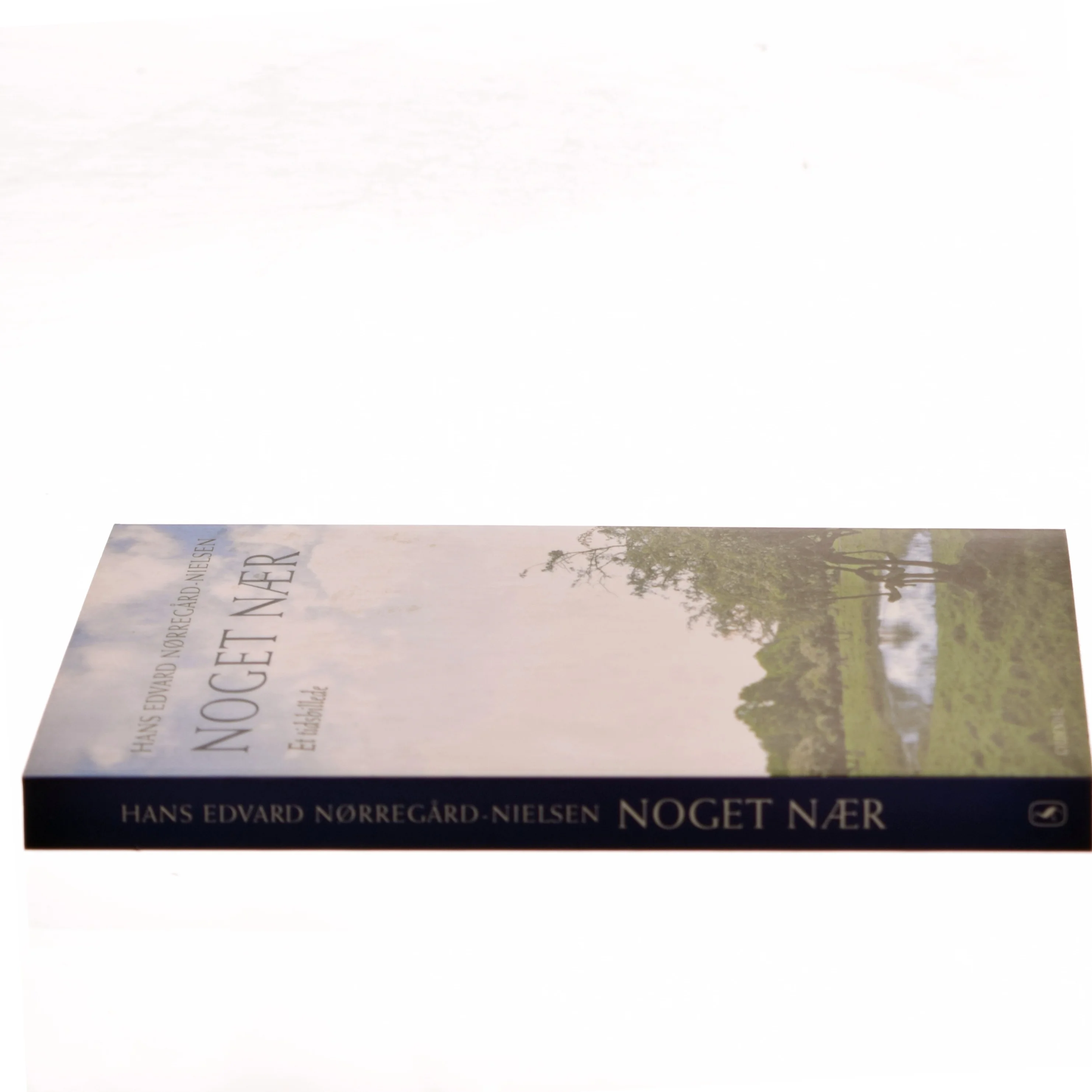 Noget nær af Hans Edvard Nørregård-Nielsen (Bog)