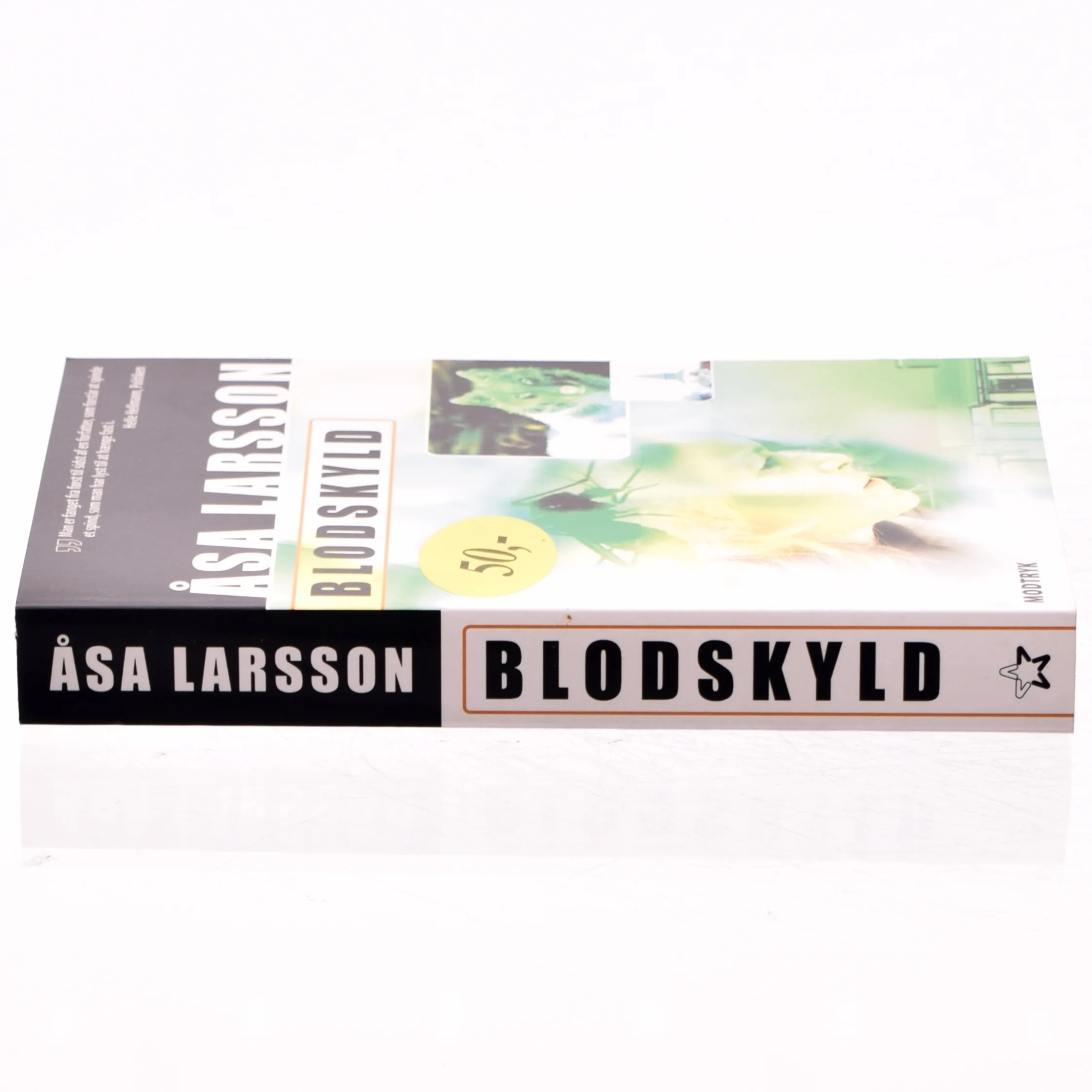Blodskyld af Åsa Larsson (Bog)