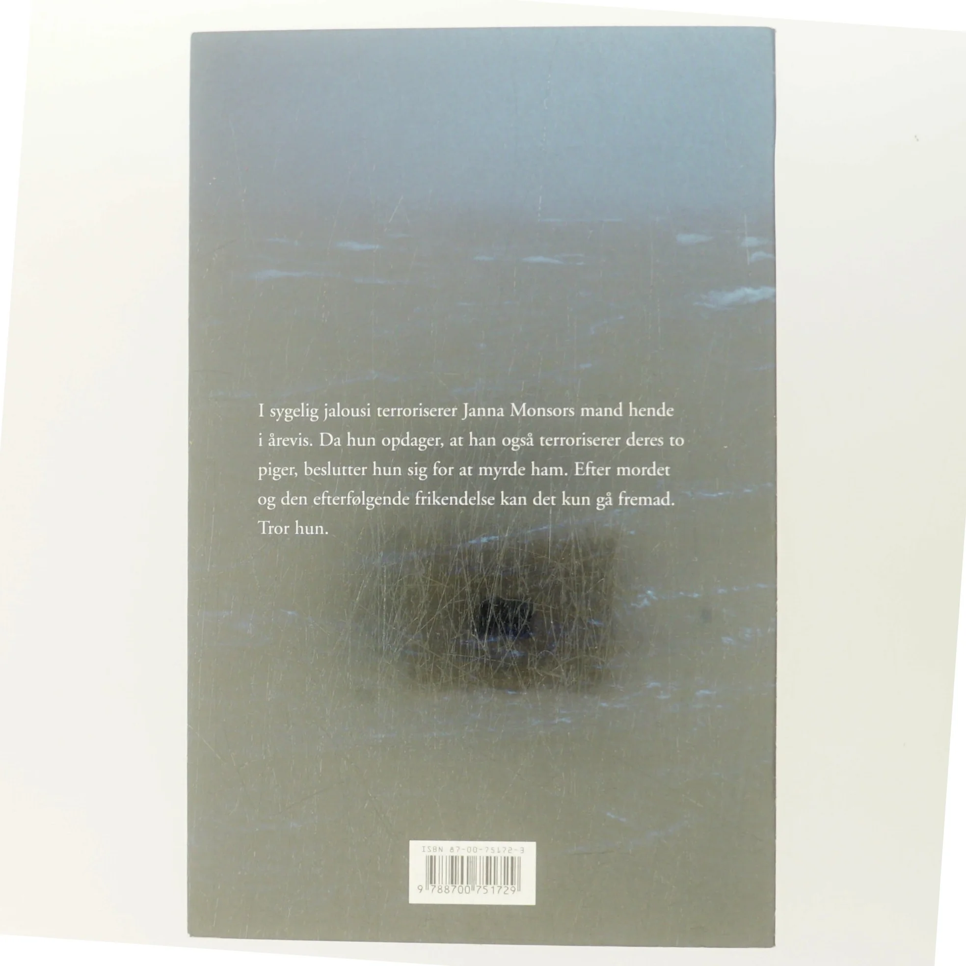 Blå hav : roman af Susanne Staun (Bog)