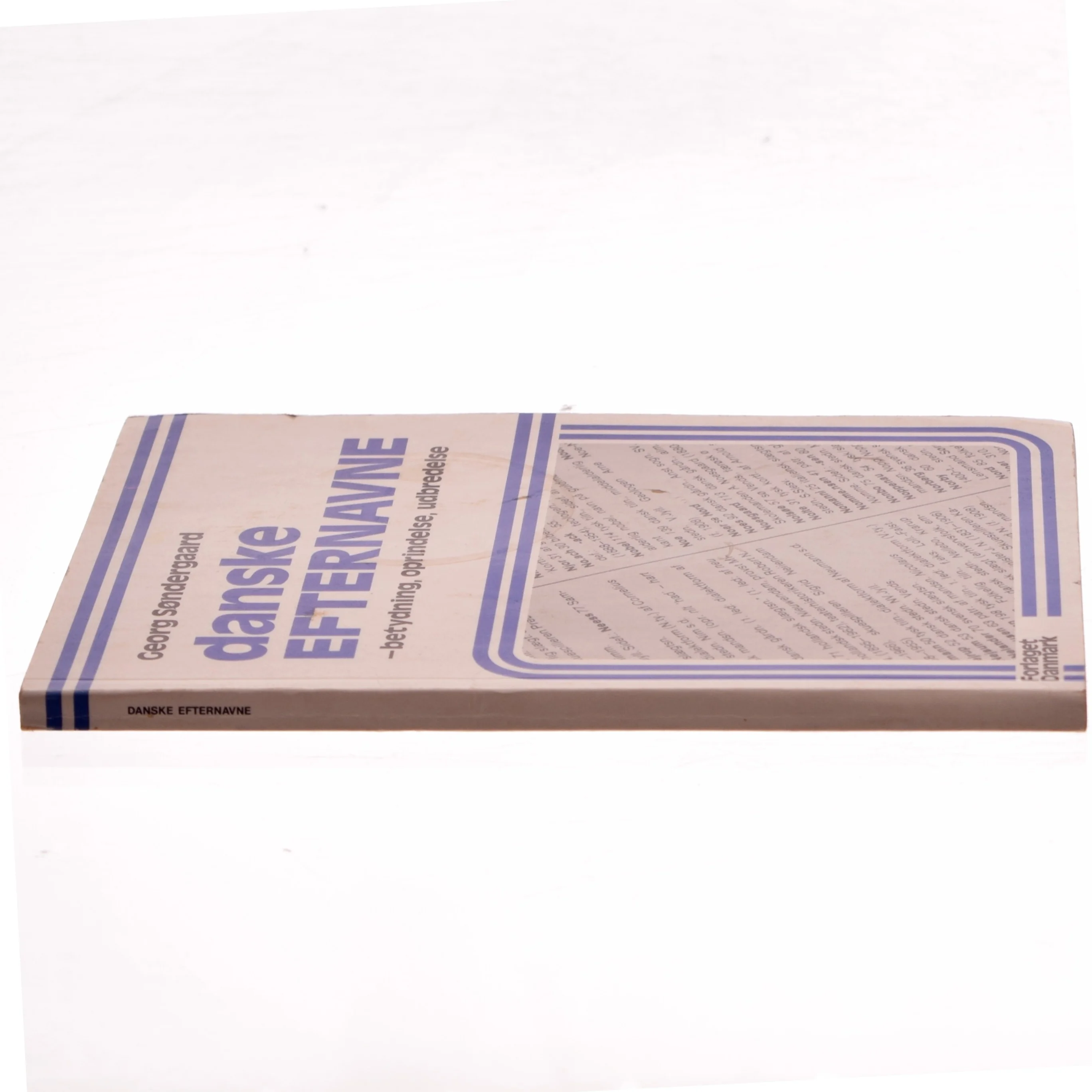 Danske efternavne af Georg Søndergaard (Bog)