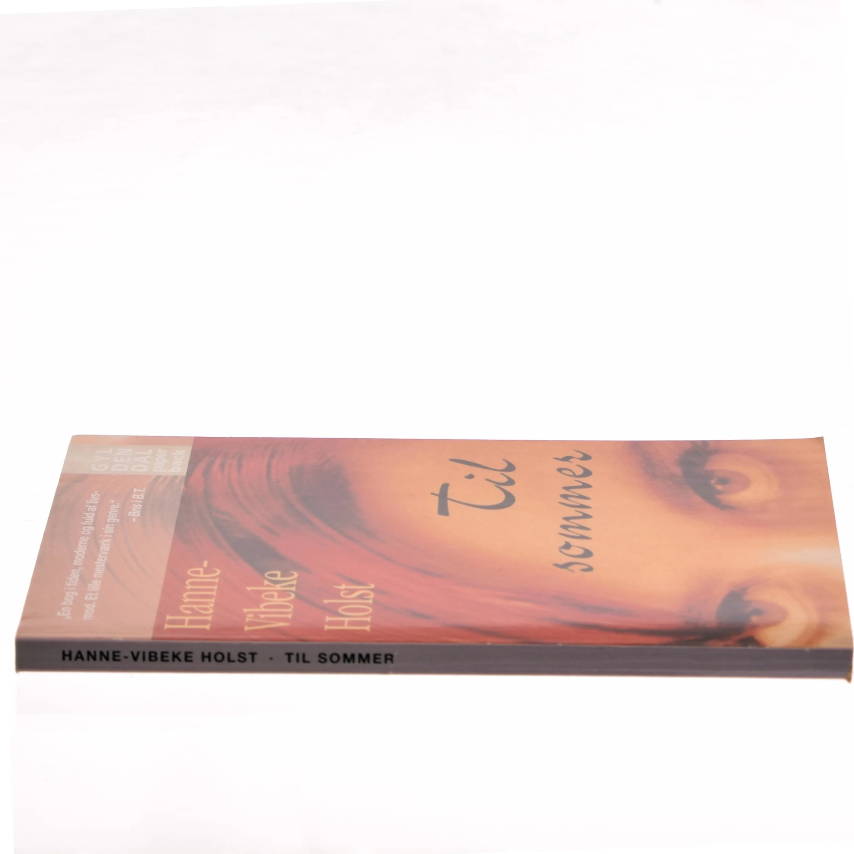 Til sommer af Hanne-Vibeke Holst (Bog)