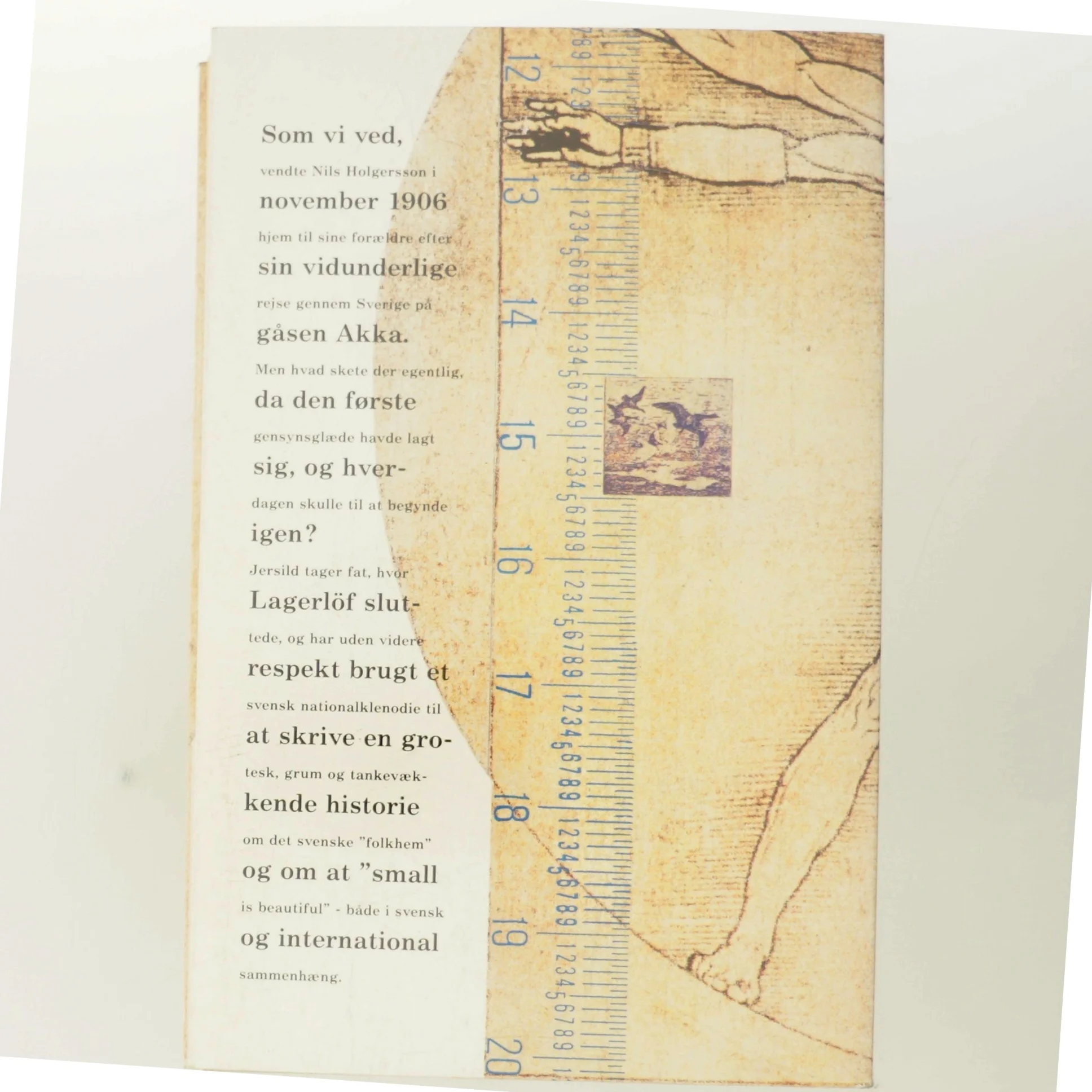 Familien Holgersson af P. C. Jersild (Bog)