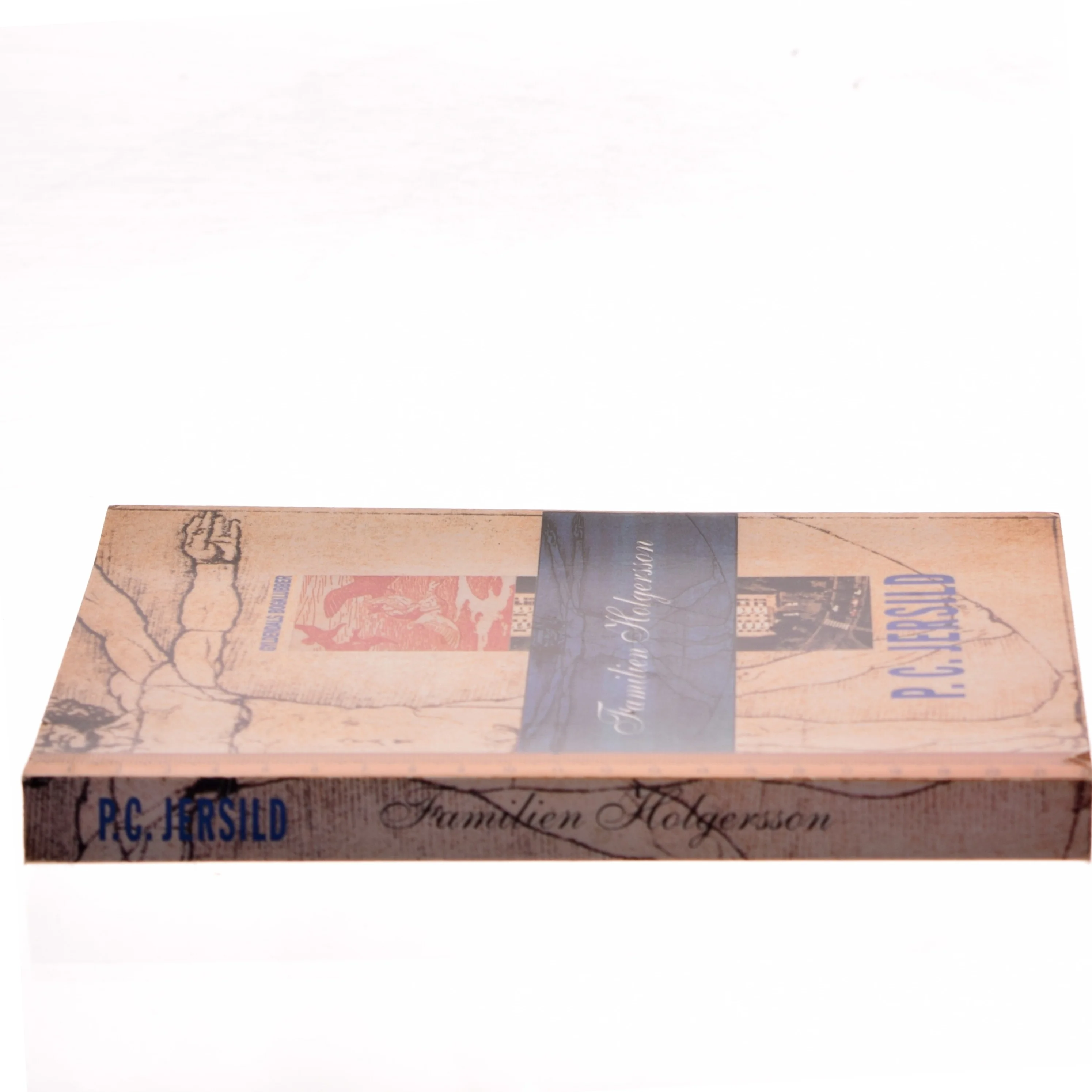 Familien Holgersson af P. C. Jersild (Bog)