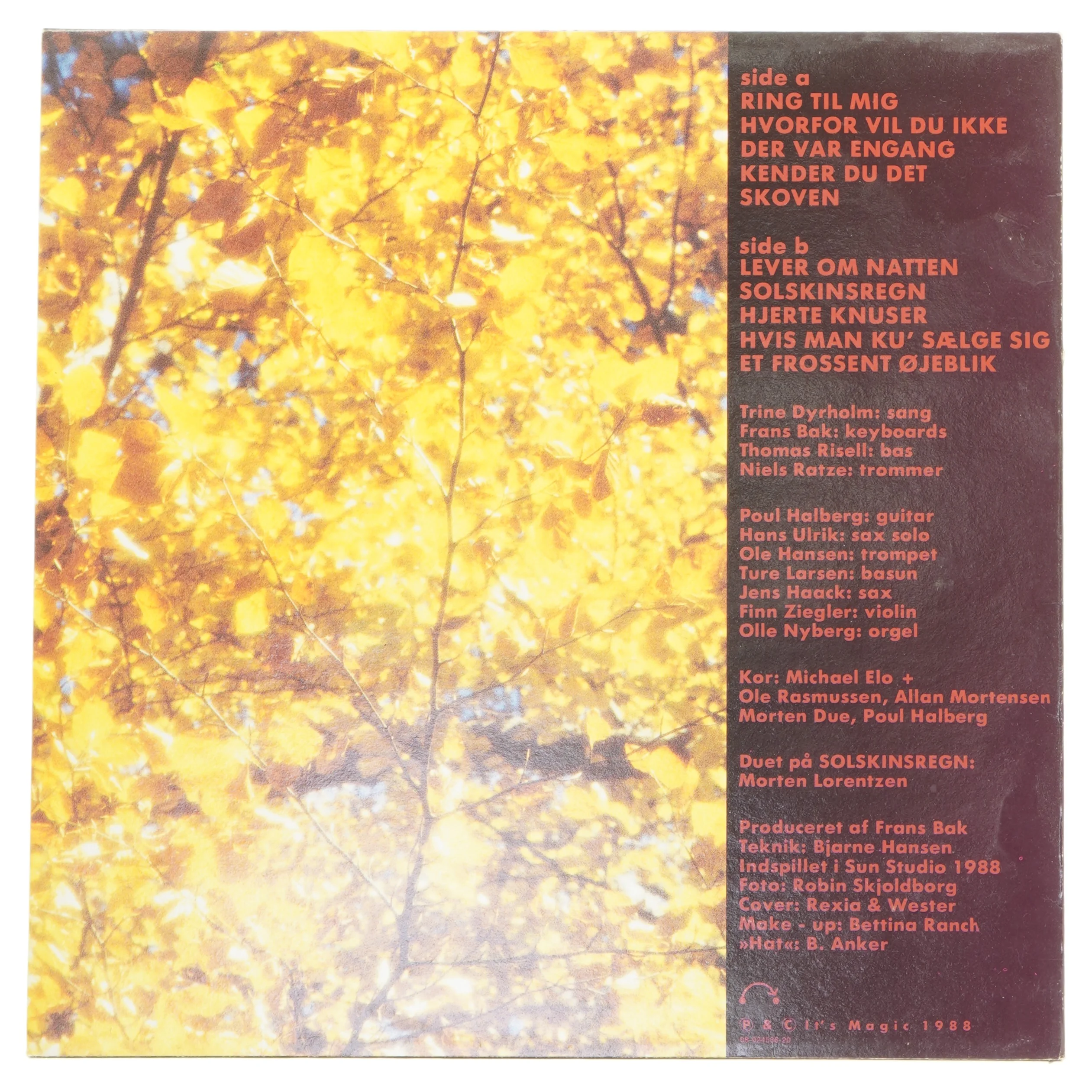 Trine Dyrholm - Et Frossent Øjeblik LP