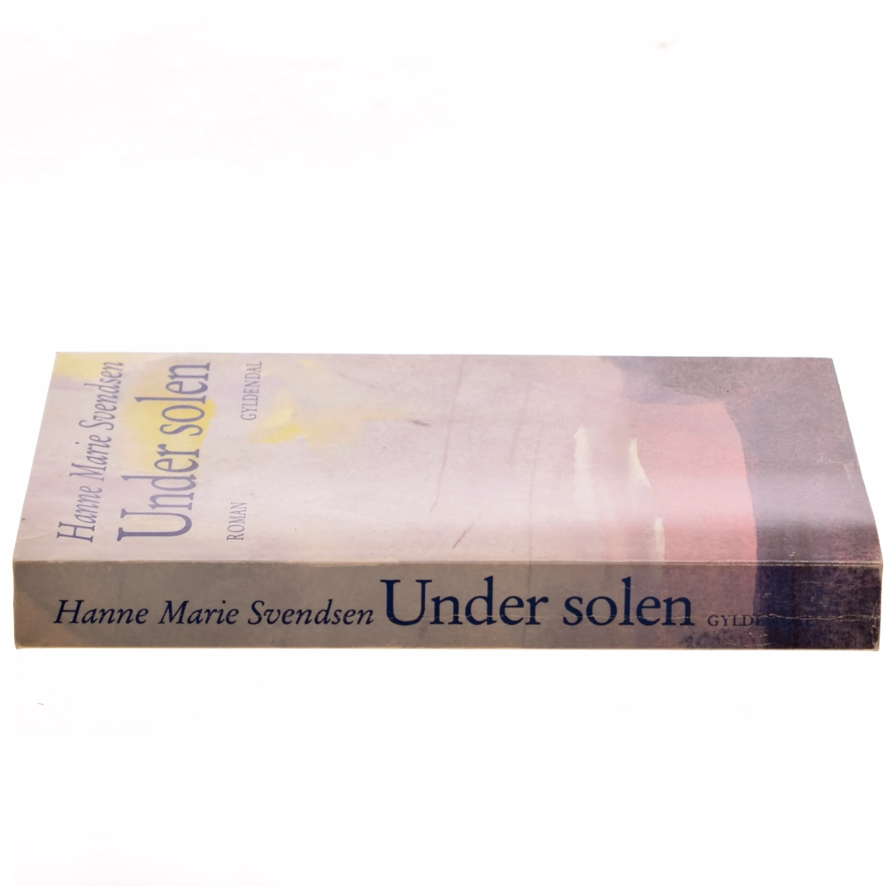Under solen af Hanne Marie Svendsen (Bog)