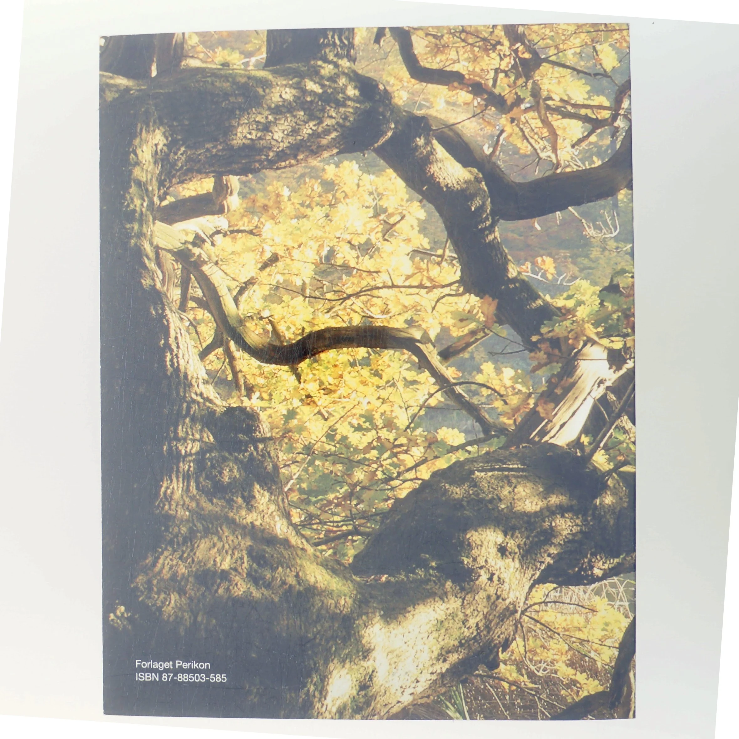 Lejre Bogen 2010 af <Bogens forfattere> (Bog)