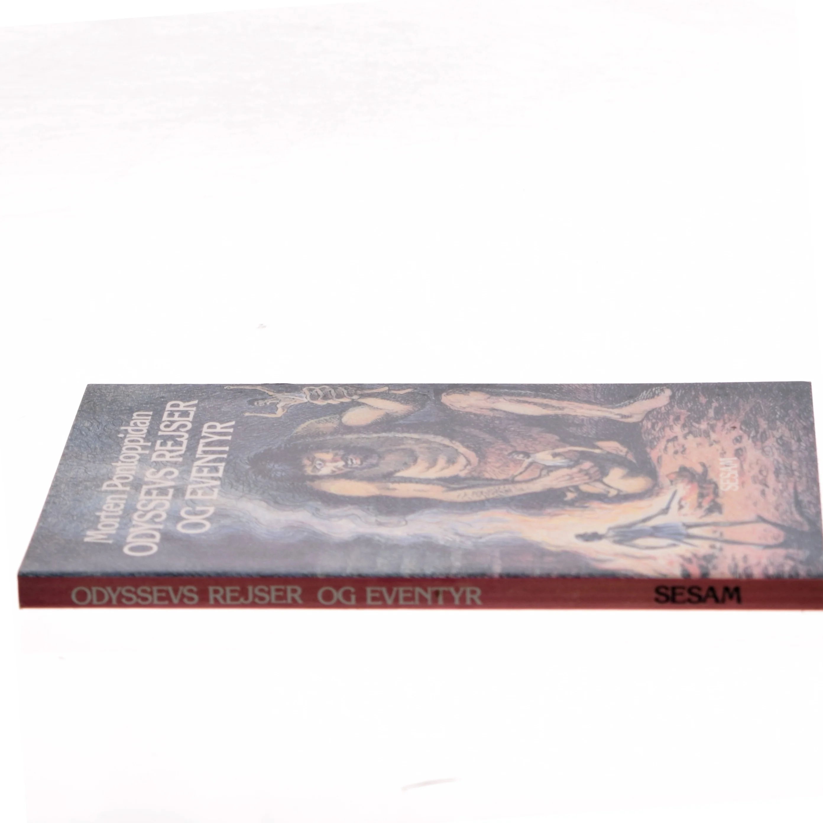 Odyssevs Rejser og Eventyr af Morten Pontoppidan (Bog)