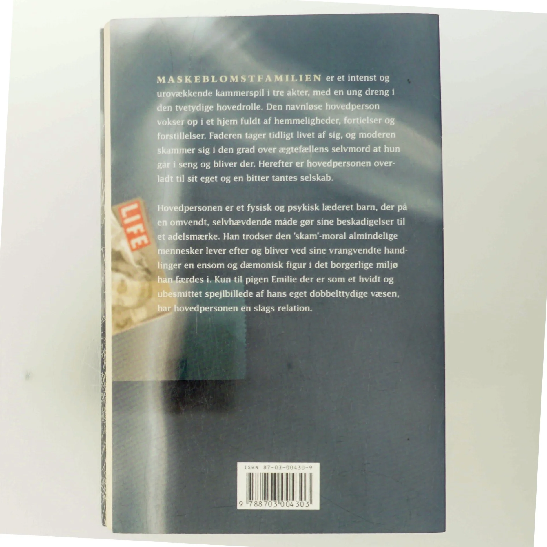 Maskeblomstfamilien : roman af Lars Saabye Christensen (f. 1953) (Bog)