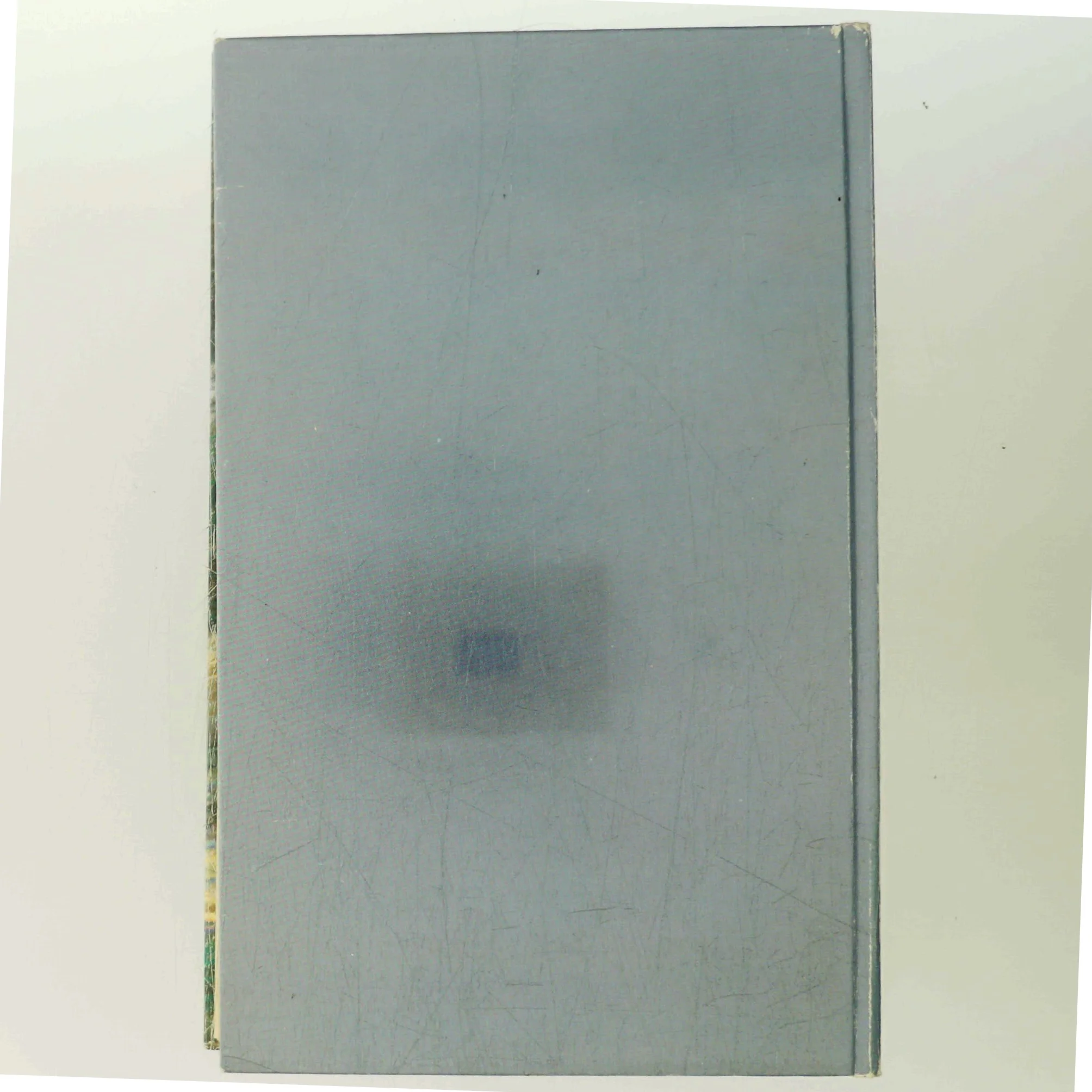 Dagens Lys af Poul Ørum (Bog)