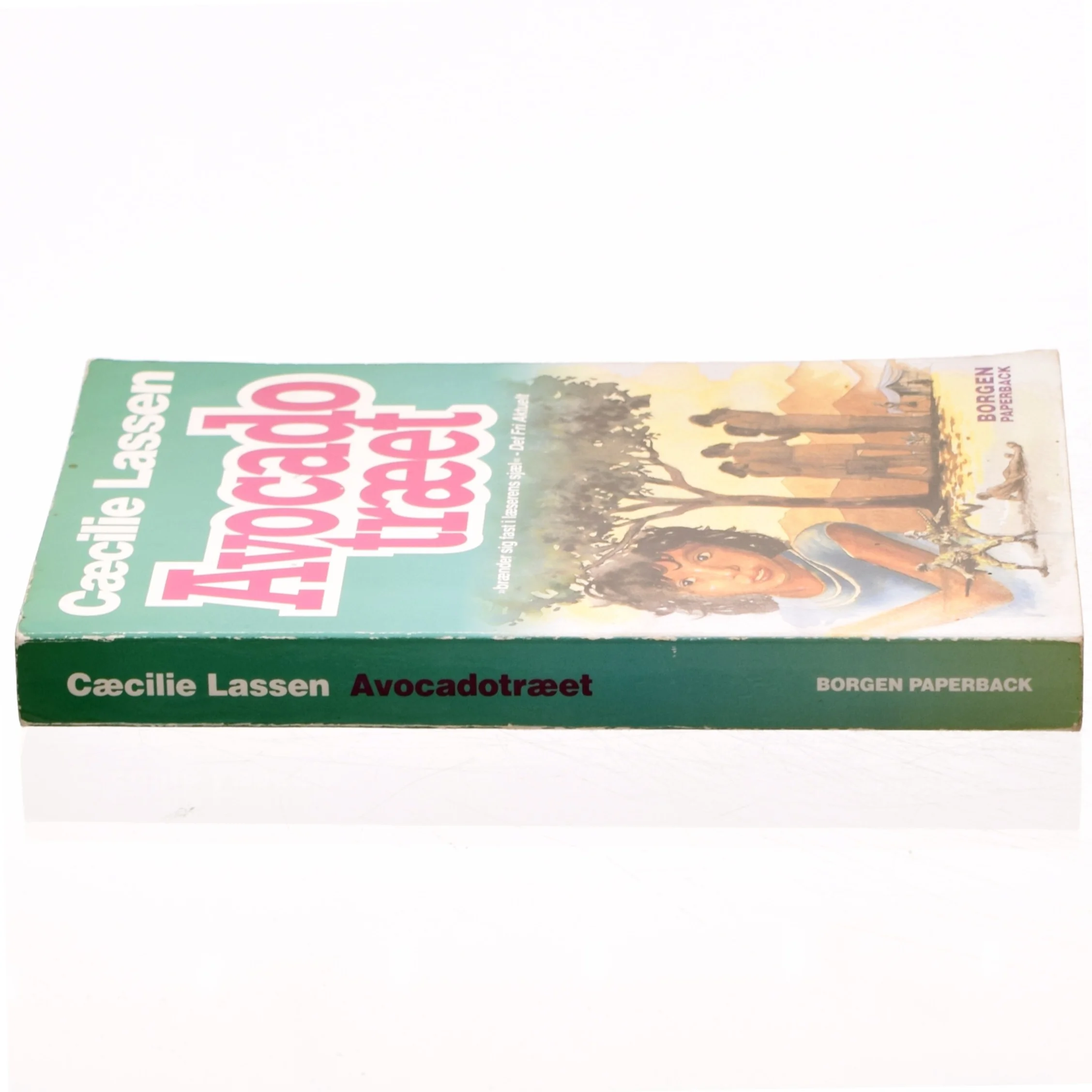 Avocadotræet : roman af Cæcilie Lassen (f. 1971) (Bog)