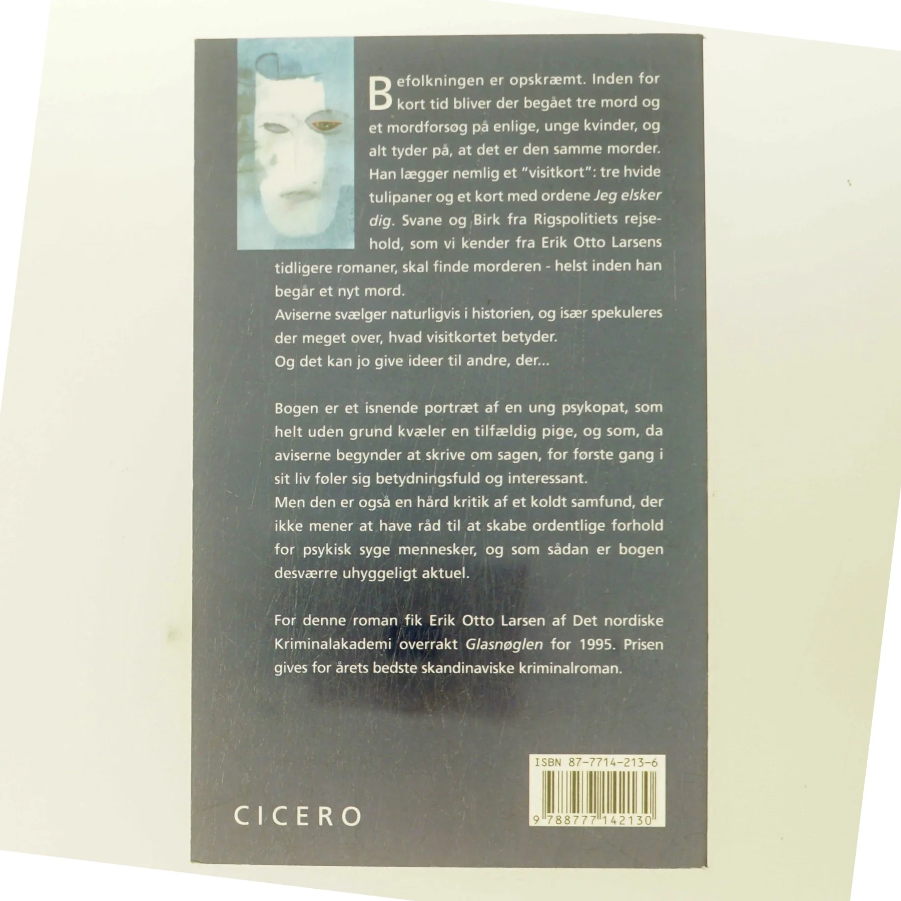 Masken i spejlet af Erik Otto Larsen (f. 1931) (Bog)