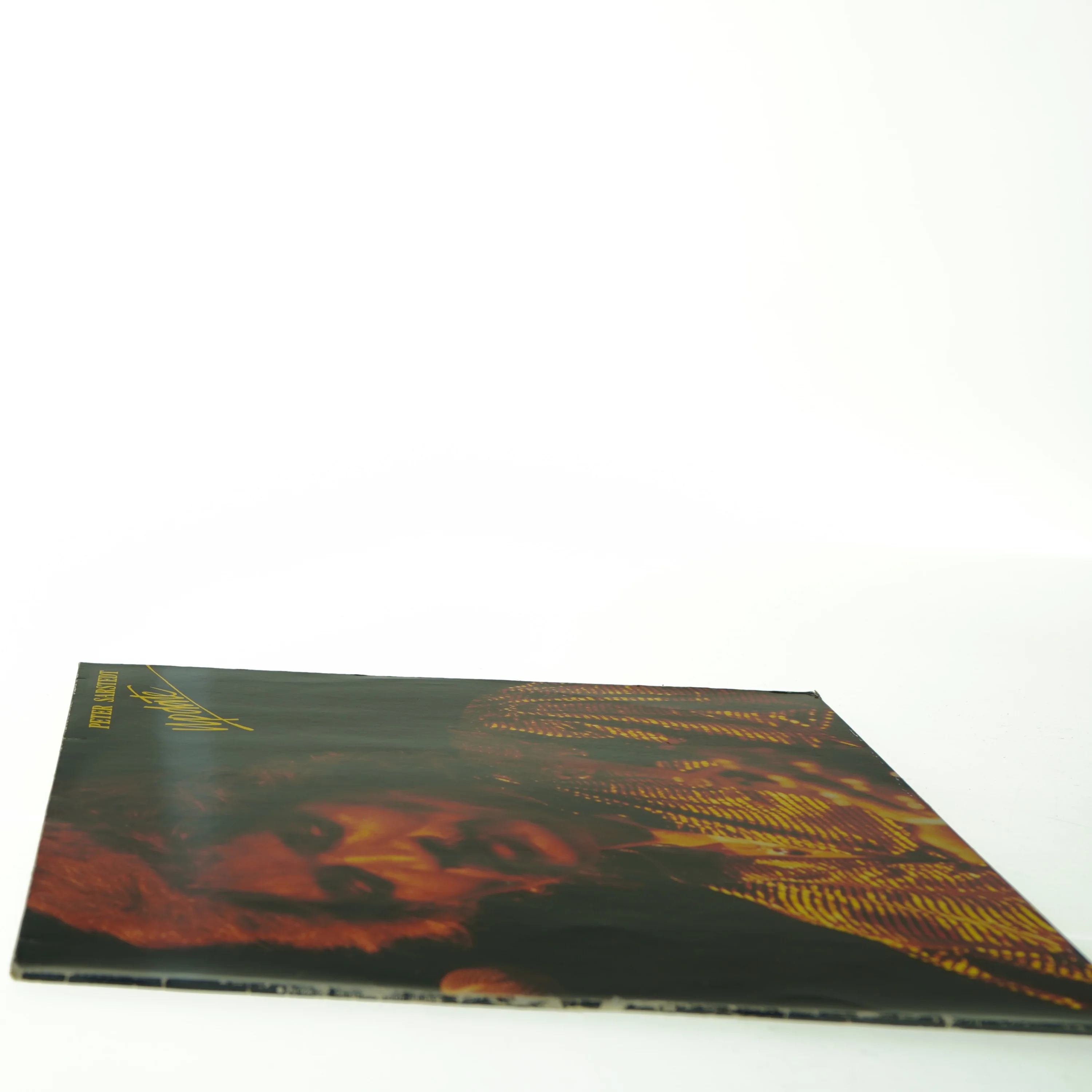 Peter Sarstedt - Update Vinylplade (str. 30 x 31 cm)
